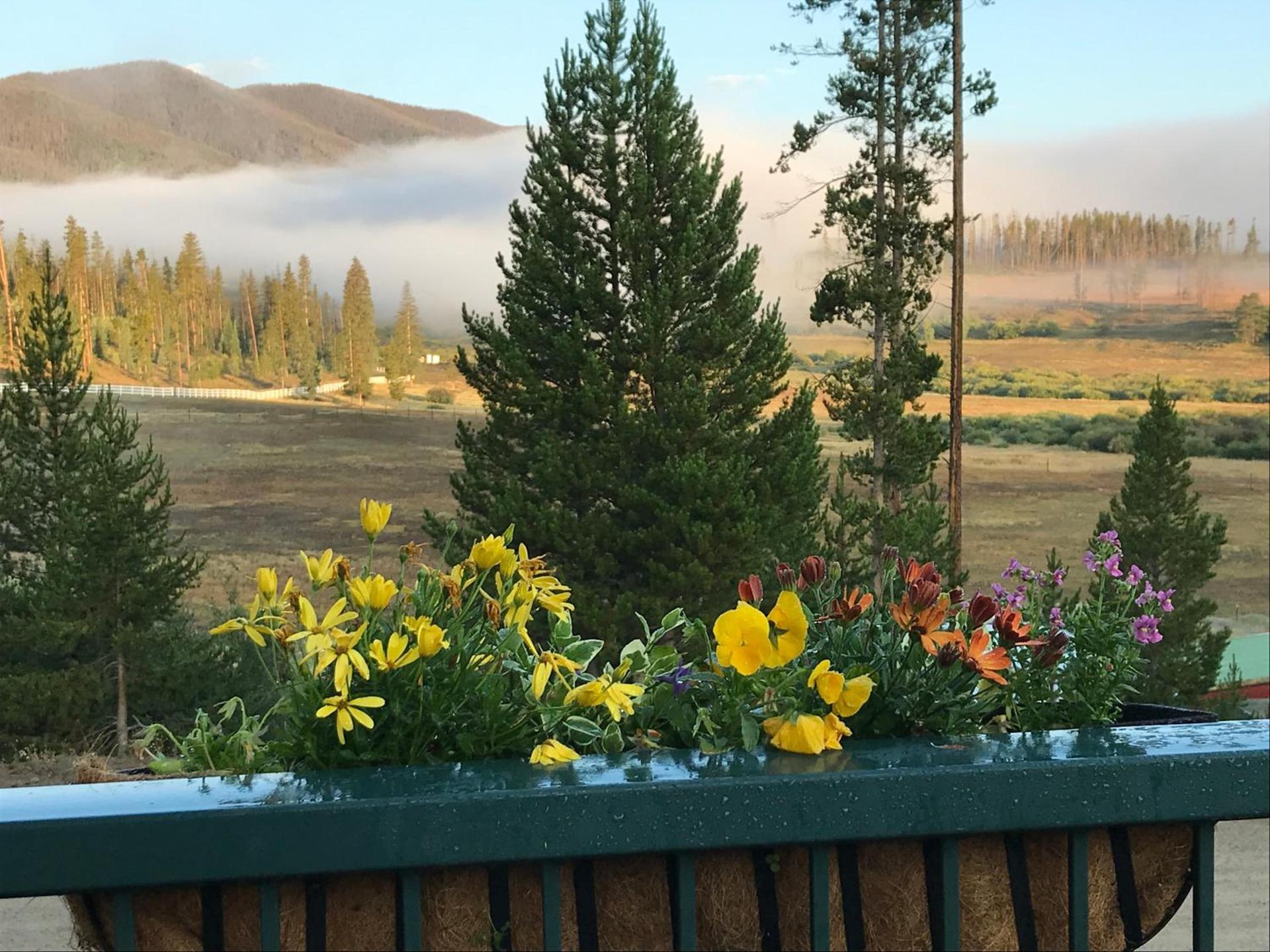 Hideaway Mountain Lodge photo 34