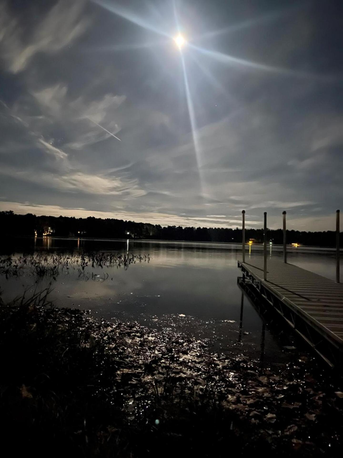 LilyPad Lodge photo 10