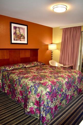 Walnut Forest Motel photo 9