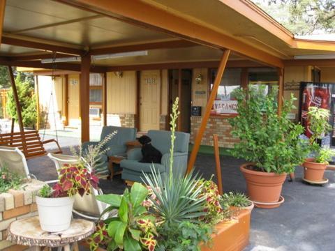 Walnut Forest Motel photo 3