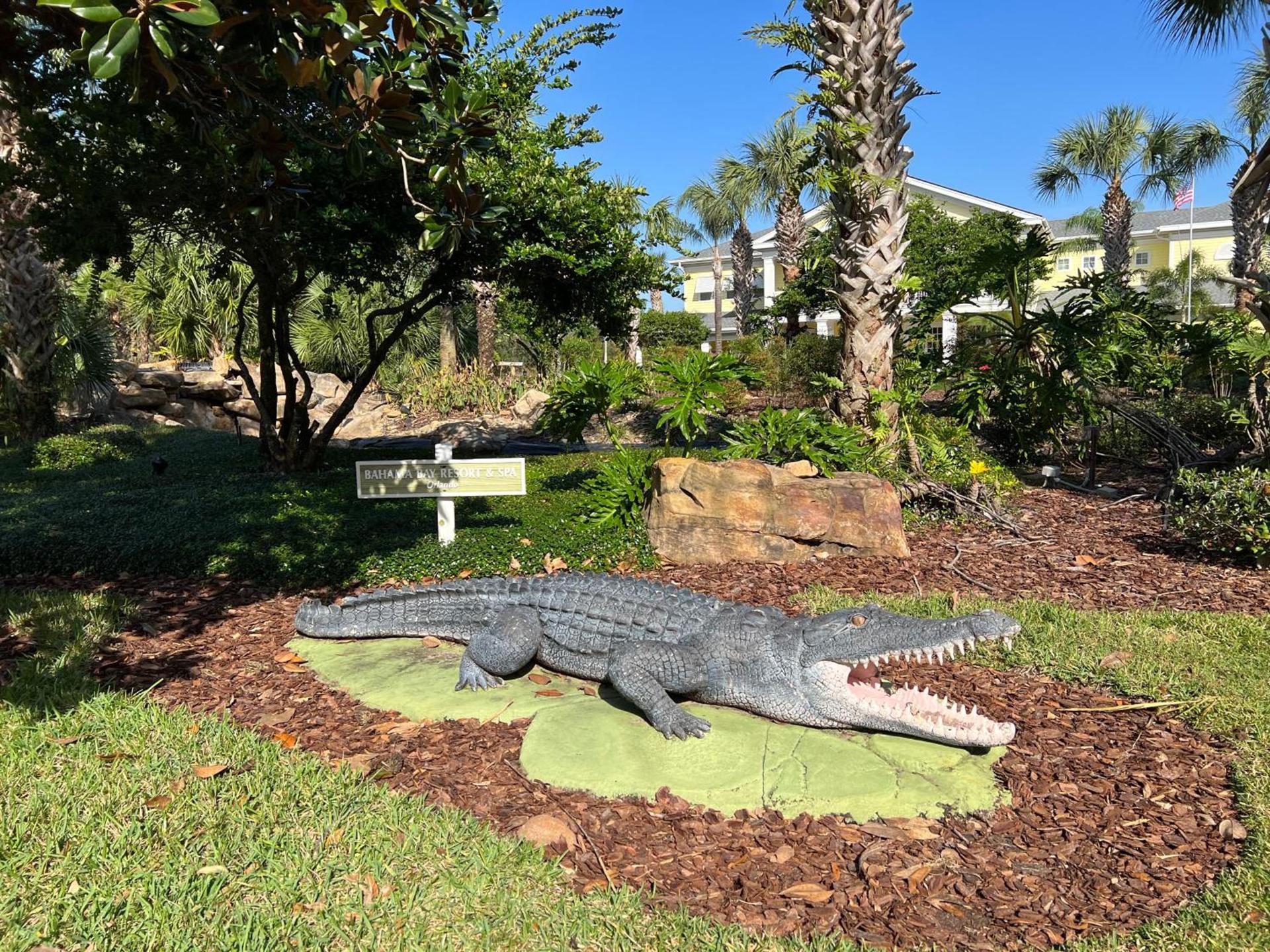 BAHAMA BAY RESORT photo 27
