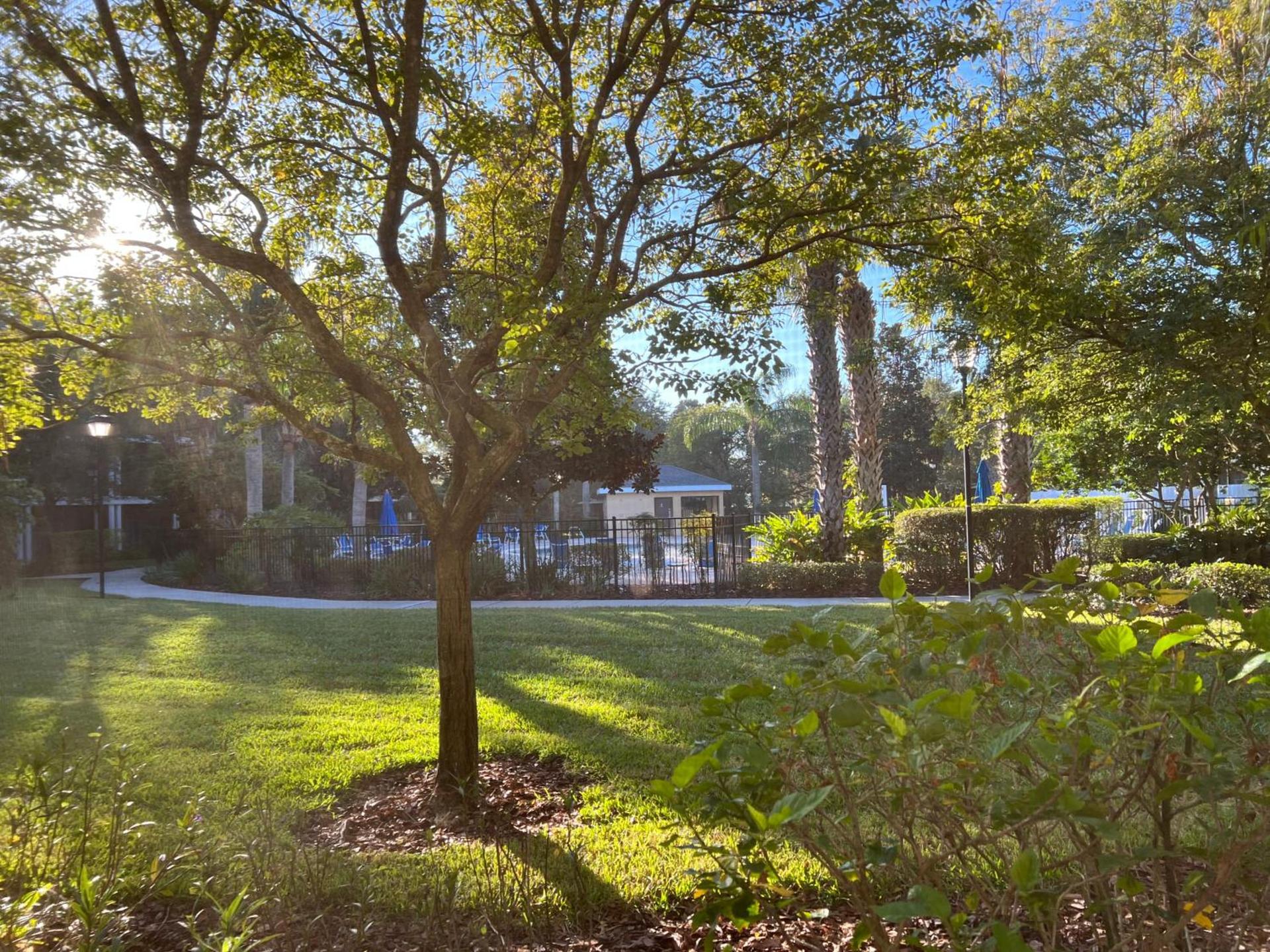 BAHAMA BAY RESORT photo 19
