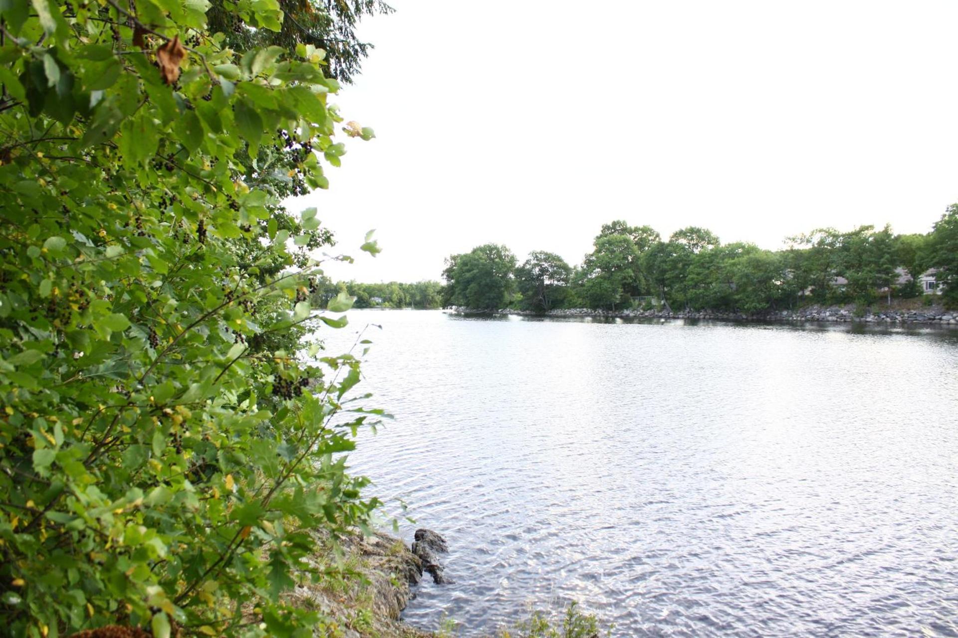 Milford Motel On the River photo 20