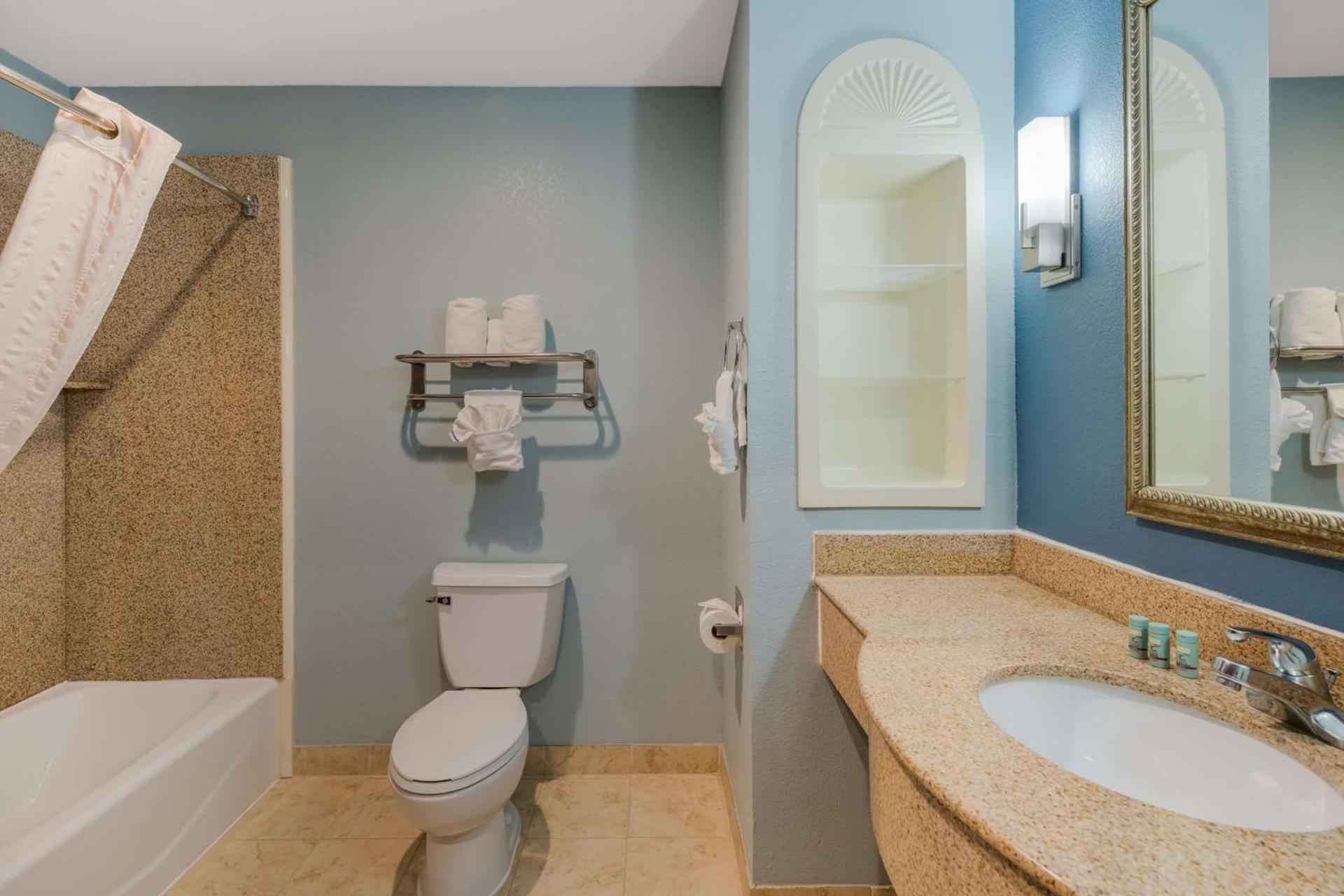 Best Western South Plains Inn & Suites photo 25