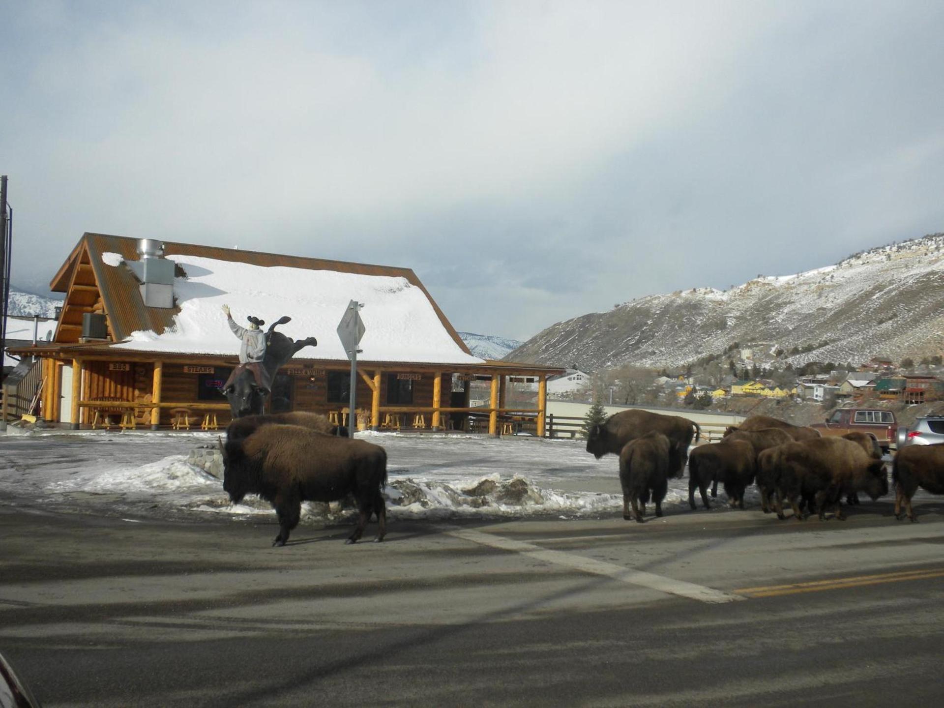 Cowboy's Lodge photo 12