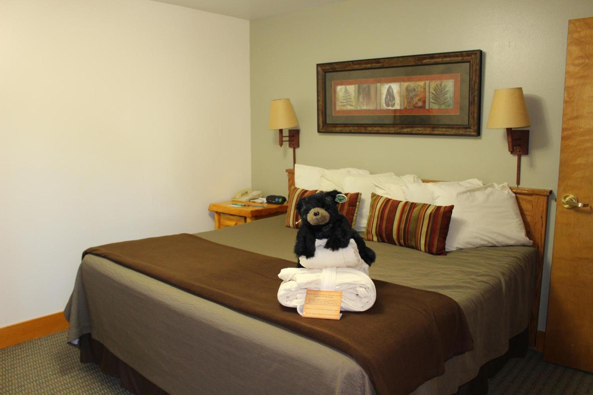 Spearfish Canyon Lodge photo 98