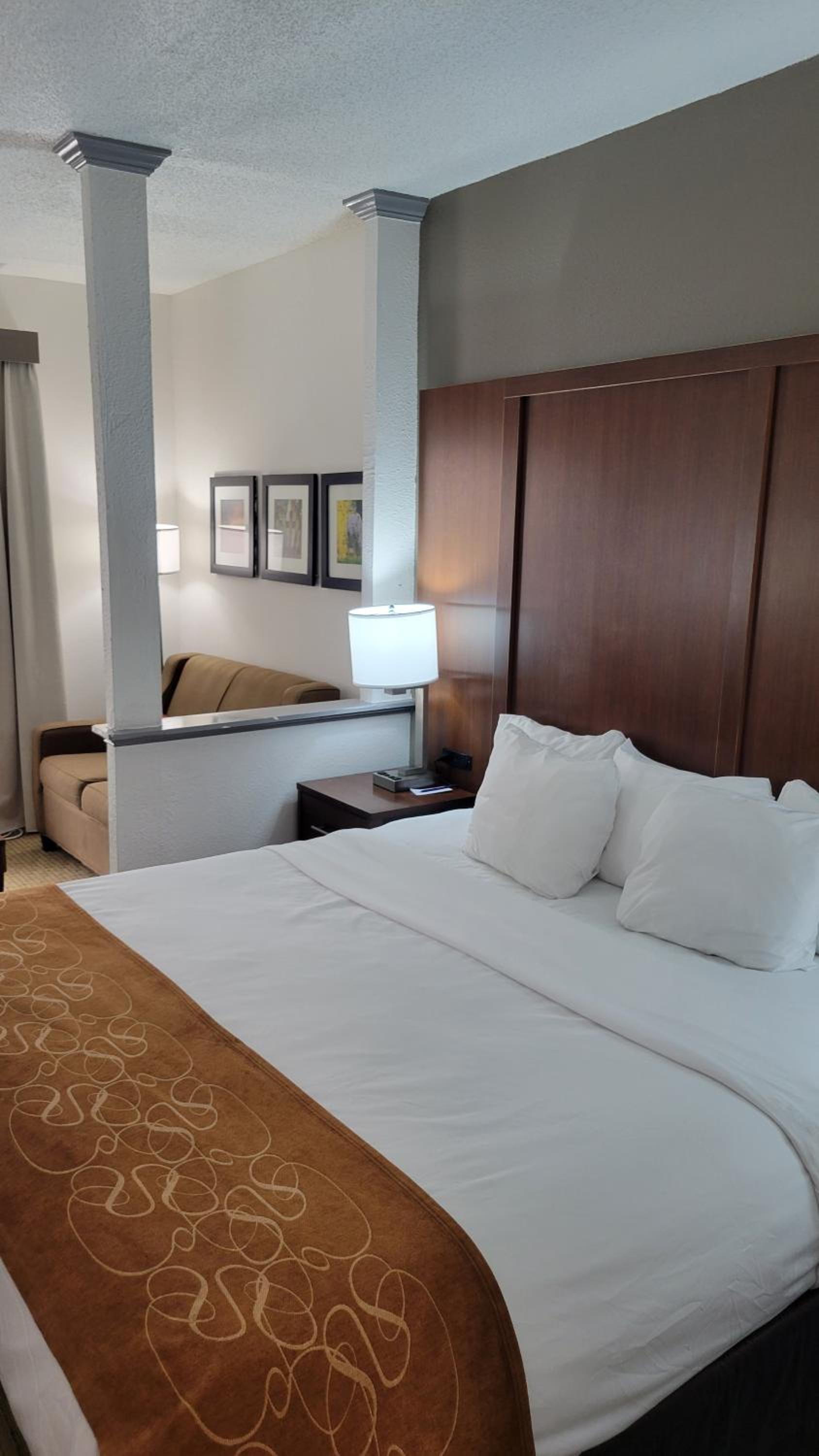 Comfort Suites Cumming-Atlanta near Northside Hospital Forsyth photo 37