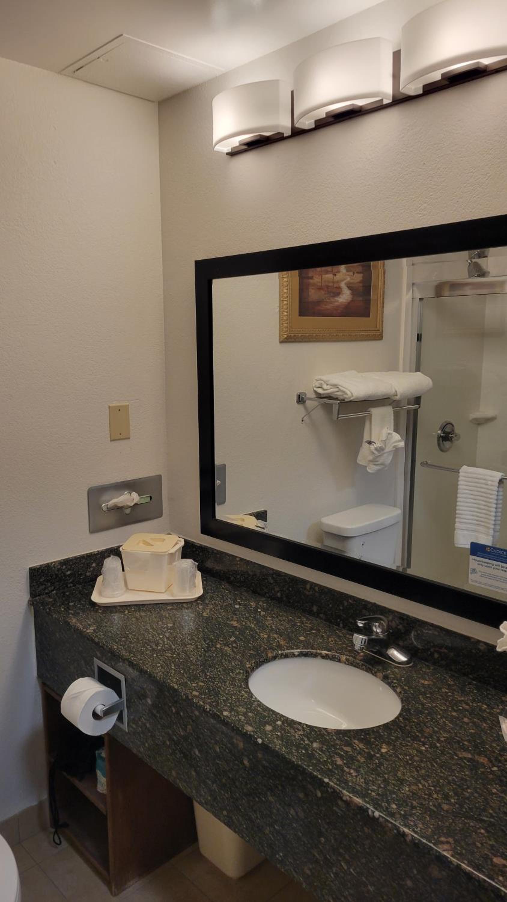 Comfort Suites Cumming-Atlanta near Northside Hospital Forsyth photo 42