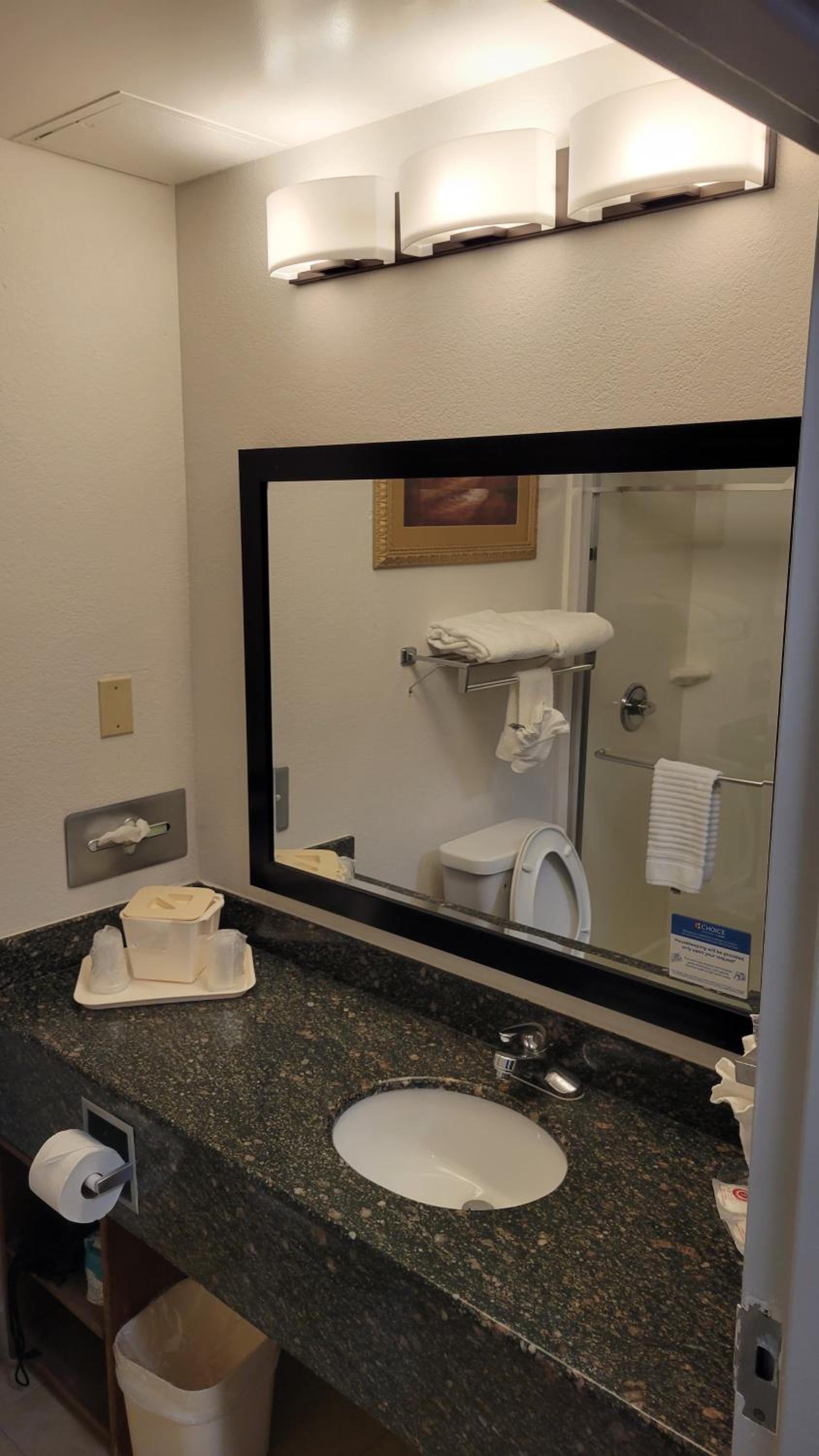 Comfort Suites Cumming-Atlanta near Northside Hospital Forsyth photo 2