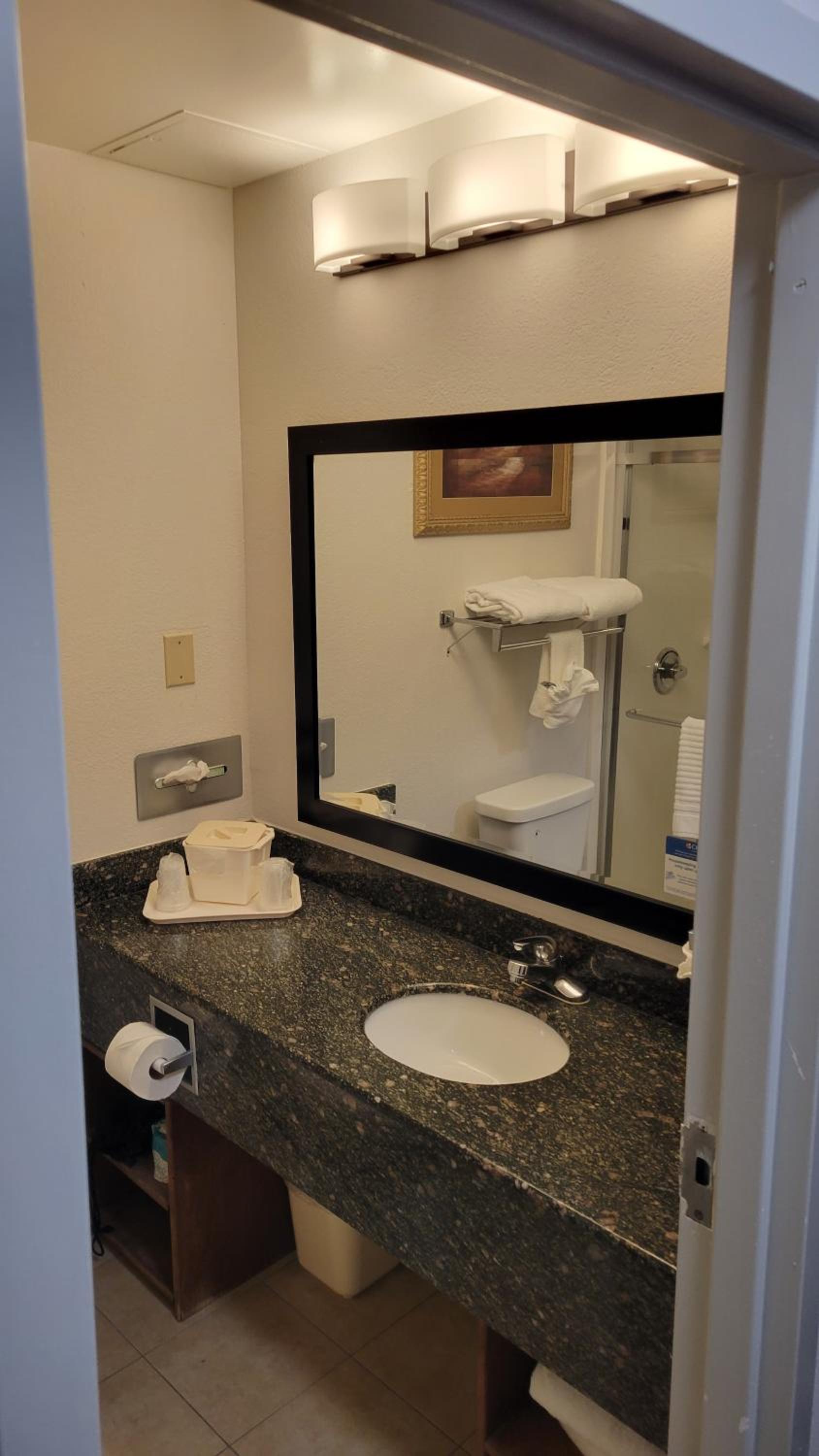 Comfort Suites Cumming-Atlanta near Northside Hospital Forsyth photo 29
