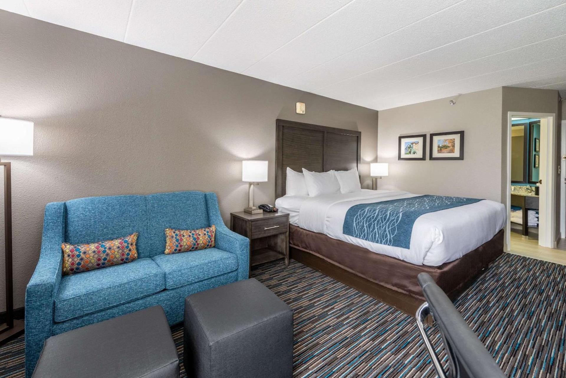 Comfort Inn Chicago Schaumburg - O'Hare Airport photo 25