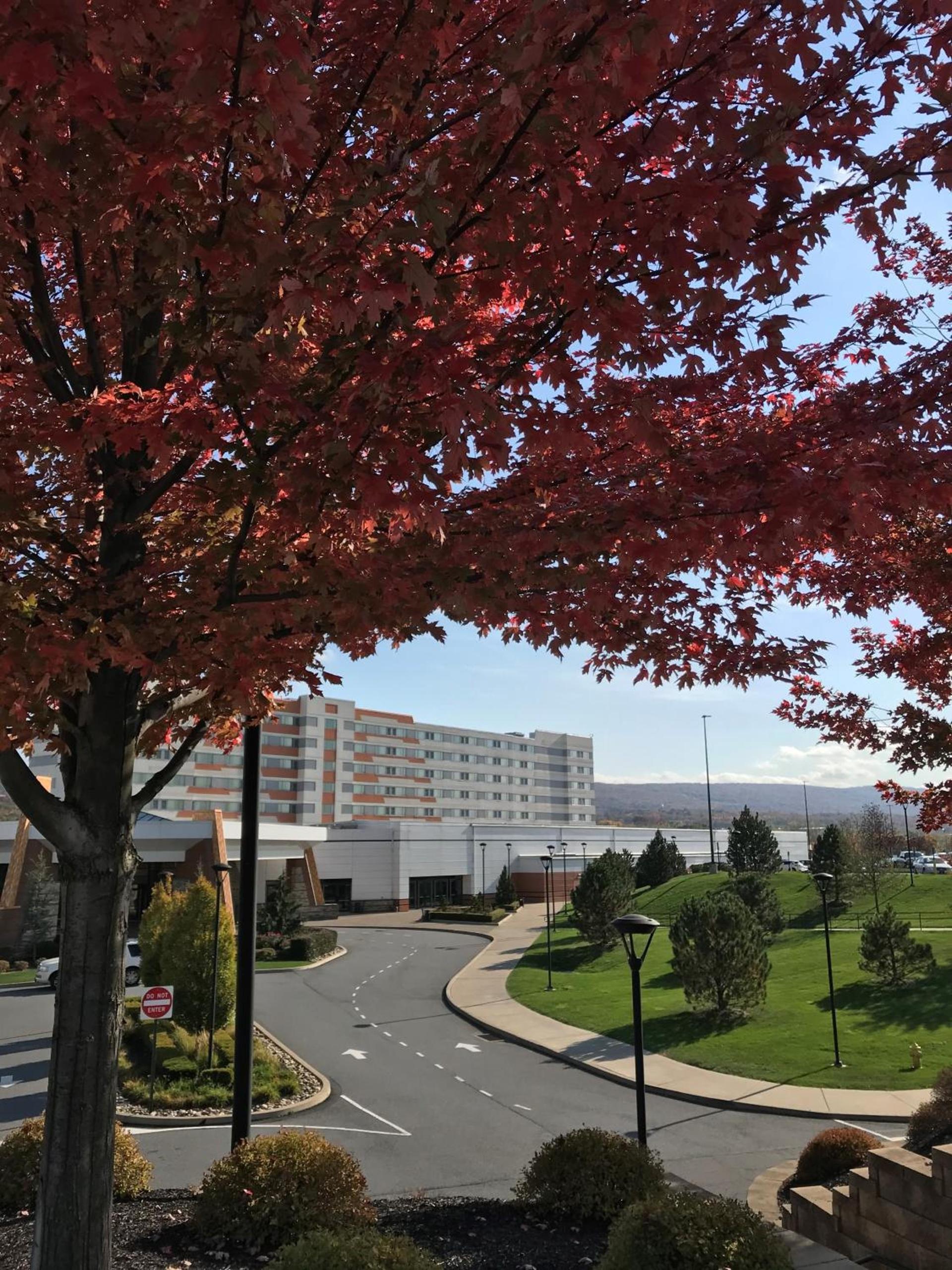 Mohegan Pennsylvania Casino Resort - Adults Only photo 33