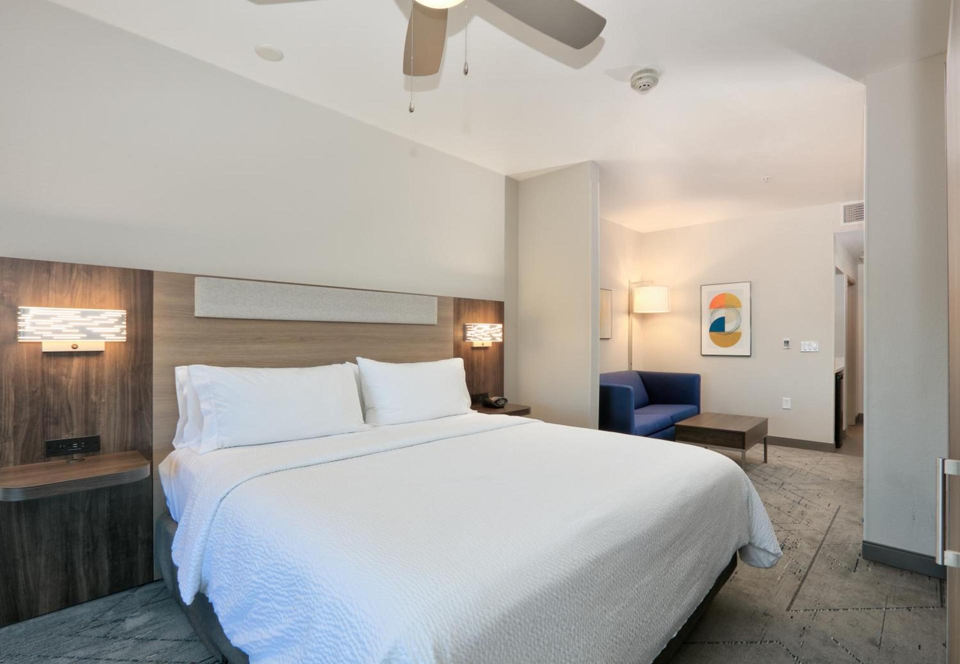 Holiday Inn Express & Suites North Dallas at Preston by IHG photo 5
