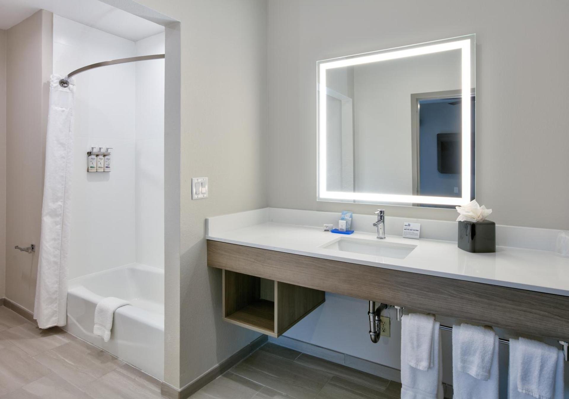 Holiday Inn Express & Suites North Dallas at Preston by IHG photo 7
