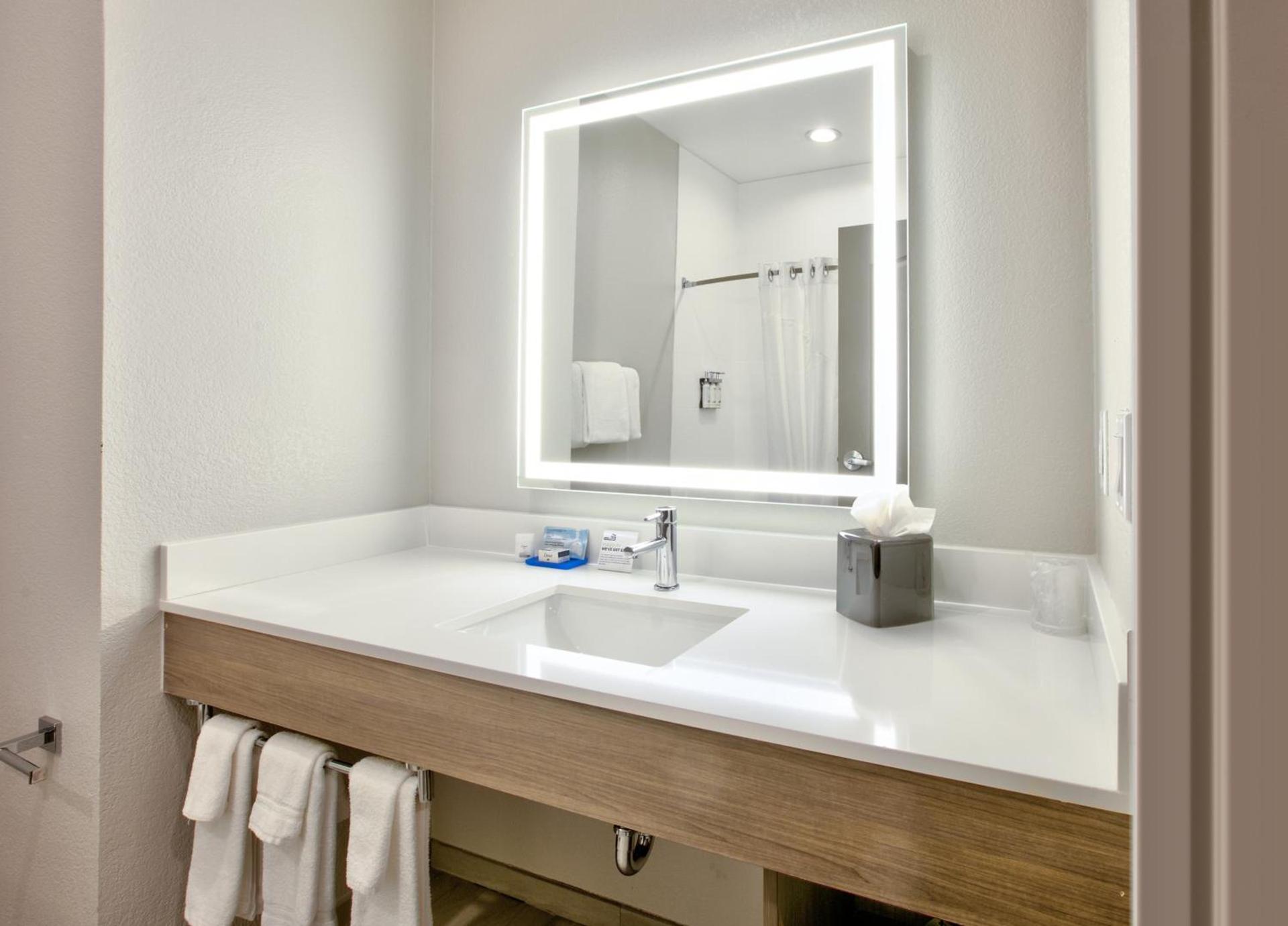 Holiday Inn Express & Suites North Dallas at Preston by IHG photo 14
