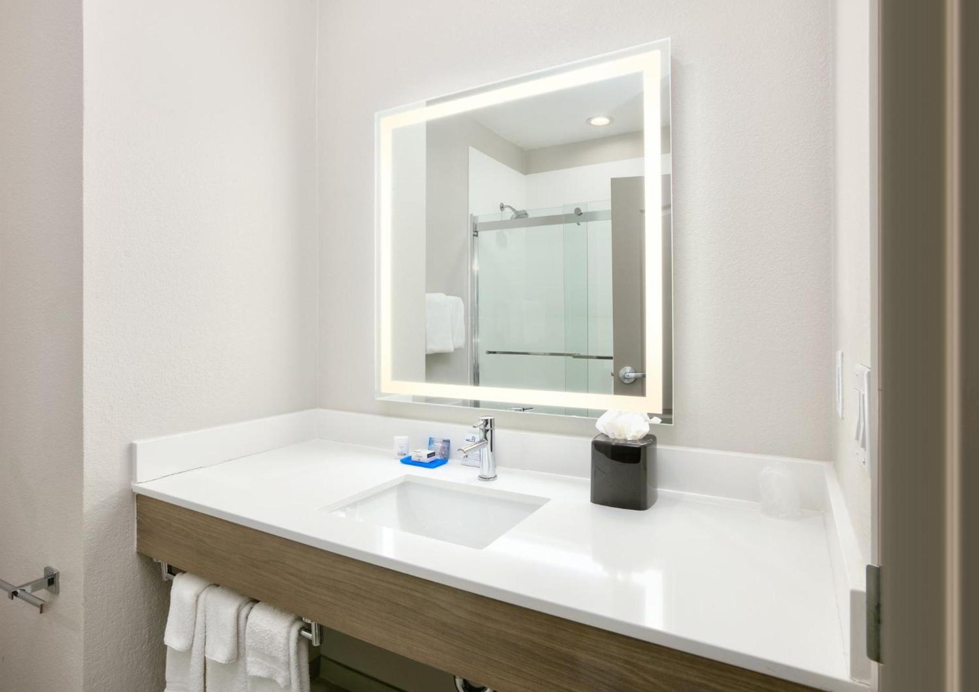 Holiday Inn Express & Suites North Dallas at Preston by IHG photo 57