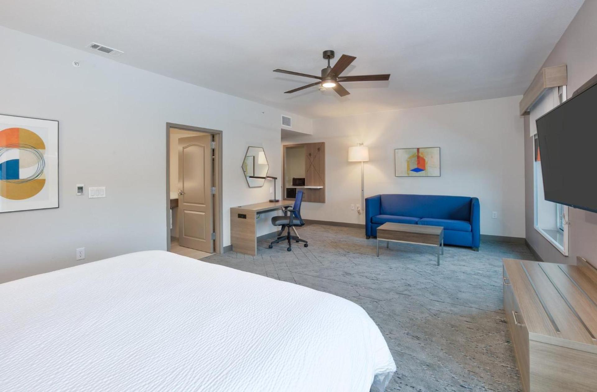 Holiday Inn Express & Suites North Dallas at Preston by IHG photo 77