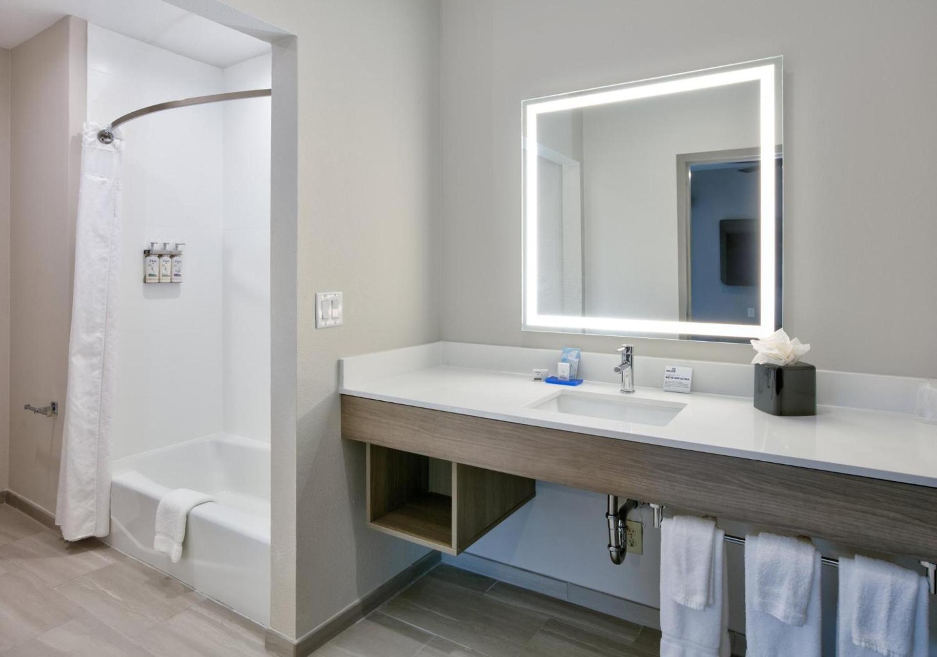 Holiday Inn Express & Suites North Dallas at Preston by IHG photo 58
