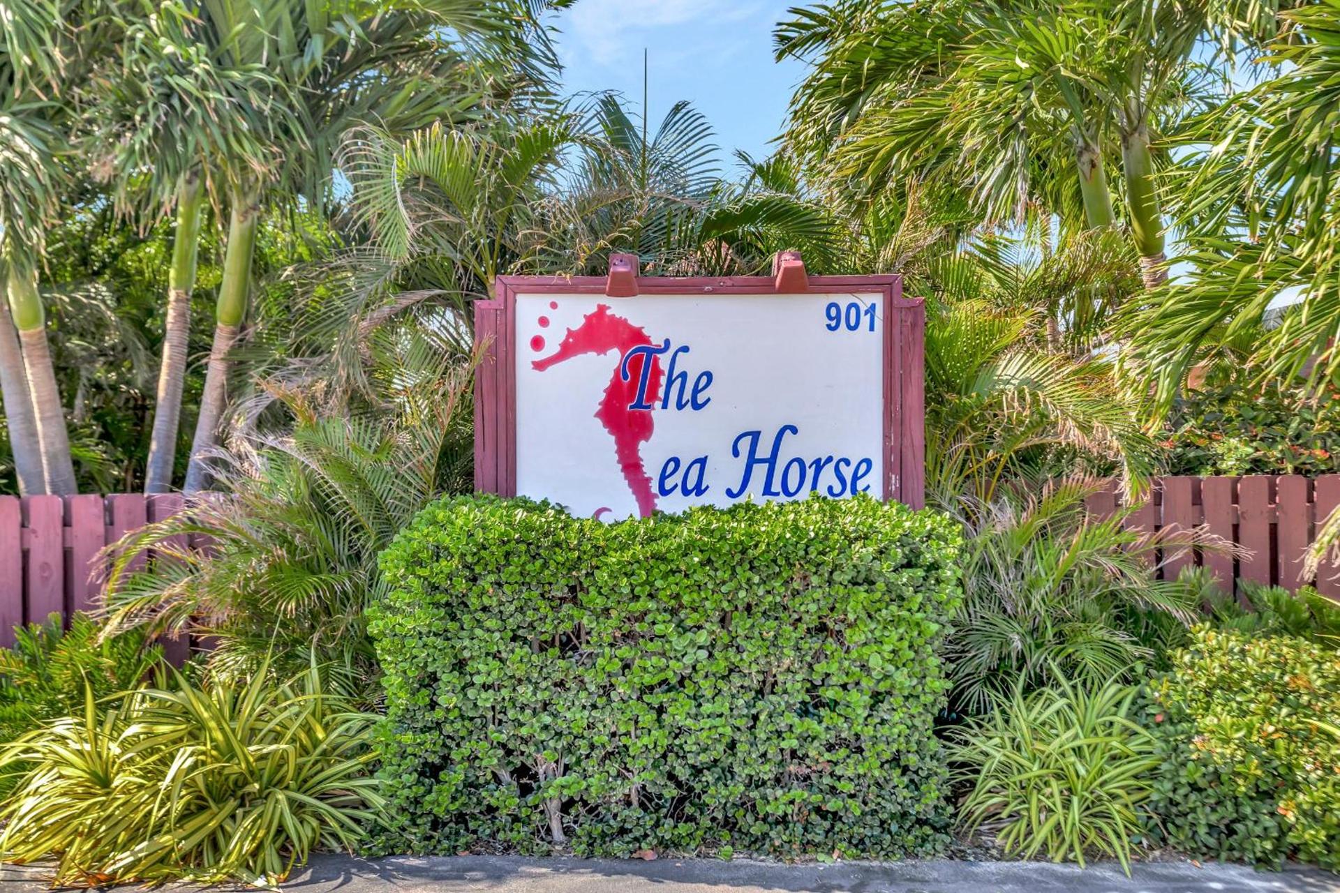 Seahorse Guesthouse photo 13