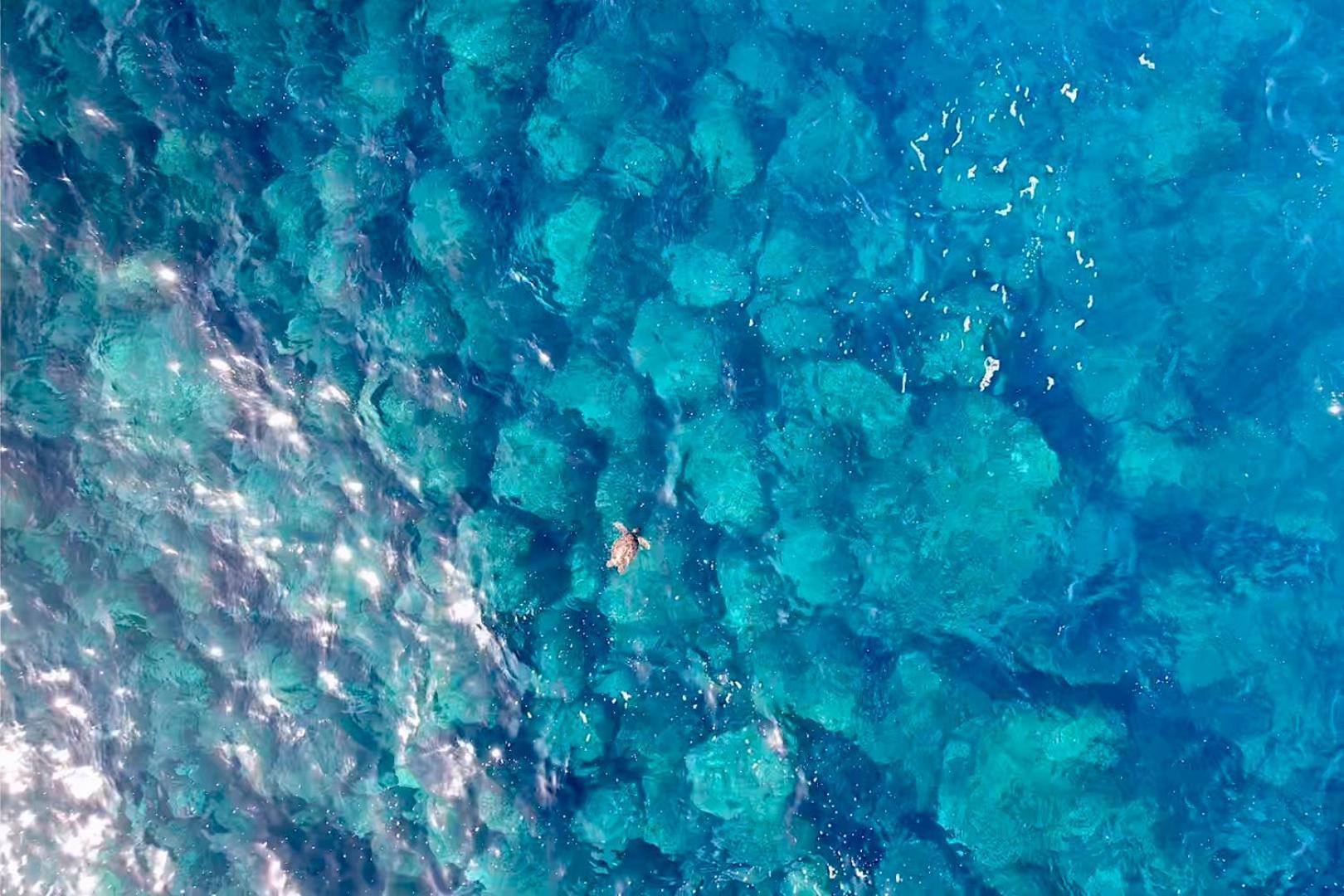 Wild Blue Water photo 23