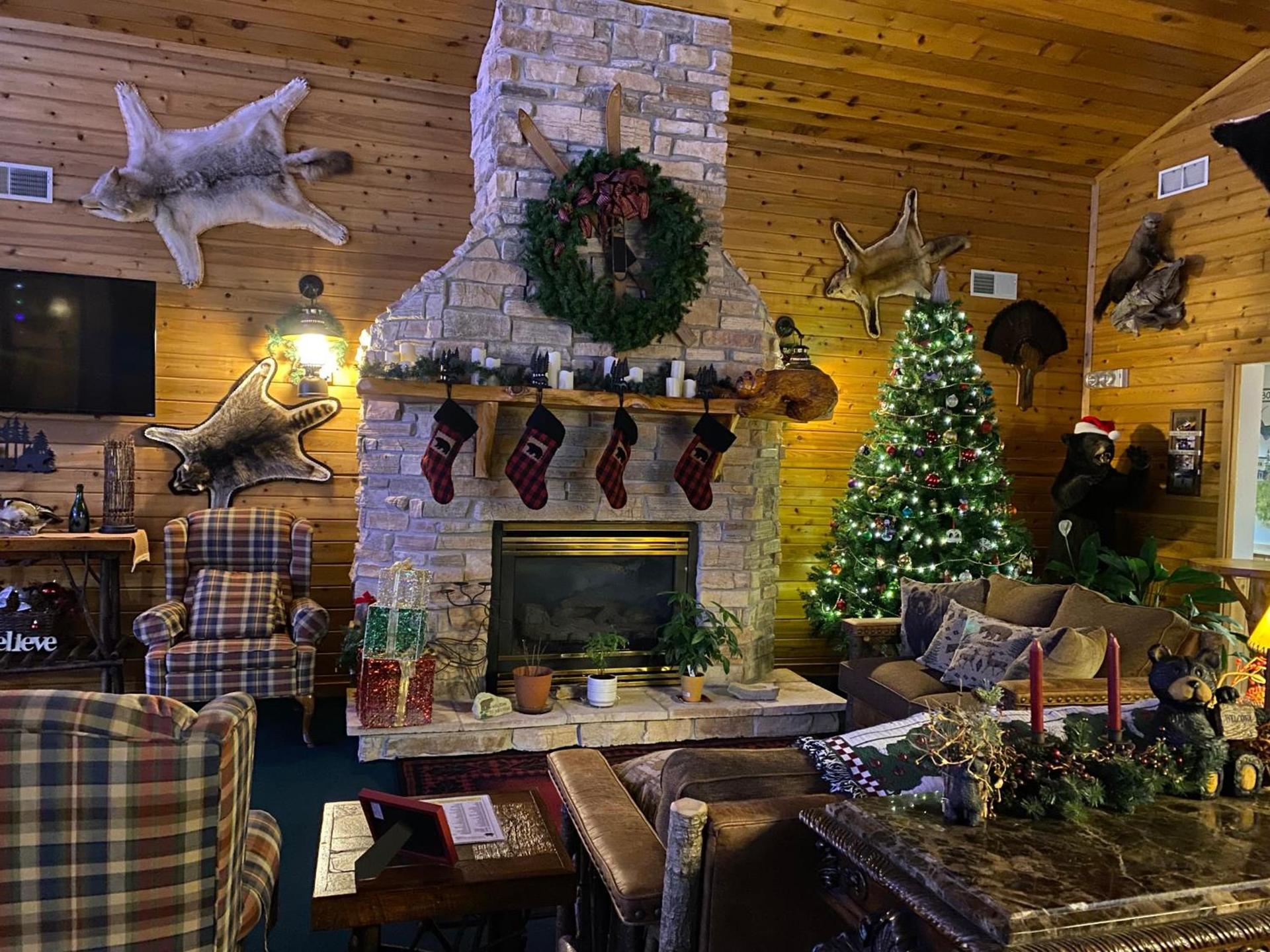 Boulder Bear Motor Lodge photo 14