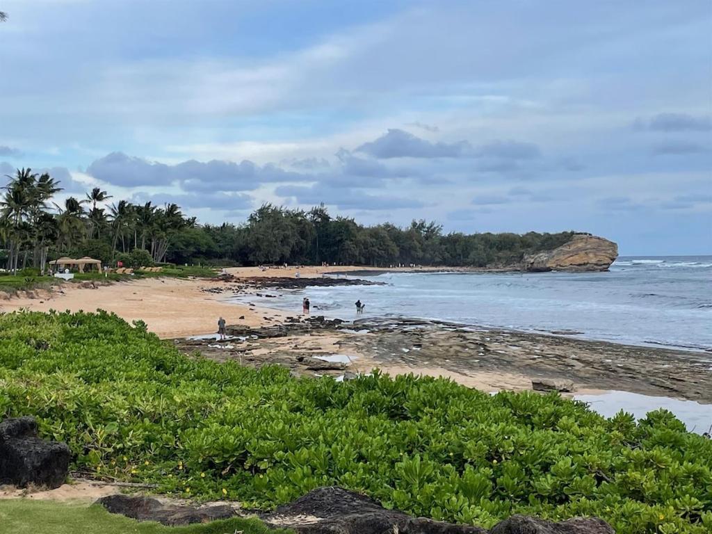 Honu He'e Nalu - The Surfing Turtle - Ocean & Beachfront! Stunning Views! photo 6