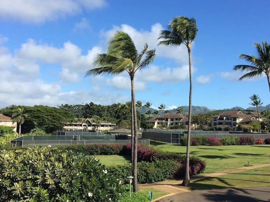 Honu He'e Nalu - The Surfing Turtle - Ocean & Beachfront! Stunning Views! photo 13