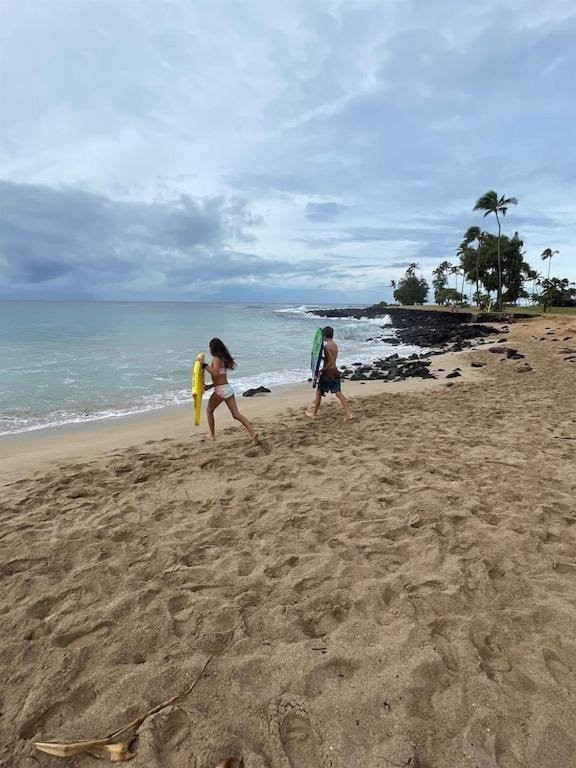 Honu He'e Nalu - The Surfing Turtle - Ocean & Beachfront! Stunning Views! photo 2