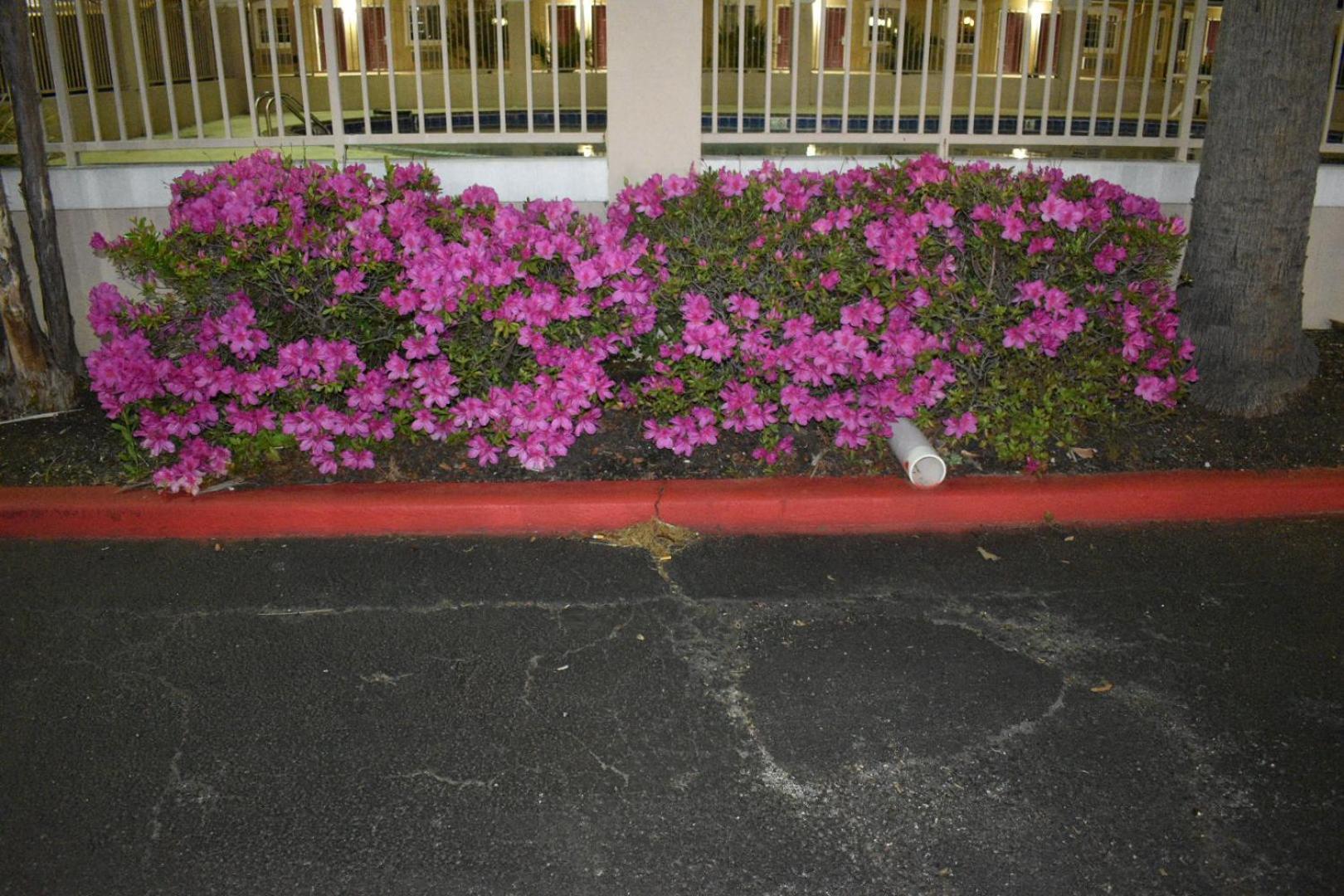 Days Inn by Wyndham Nacogdoches/SFA University/Downtown photo 36