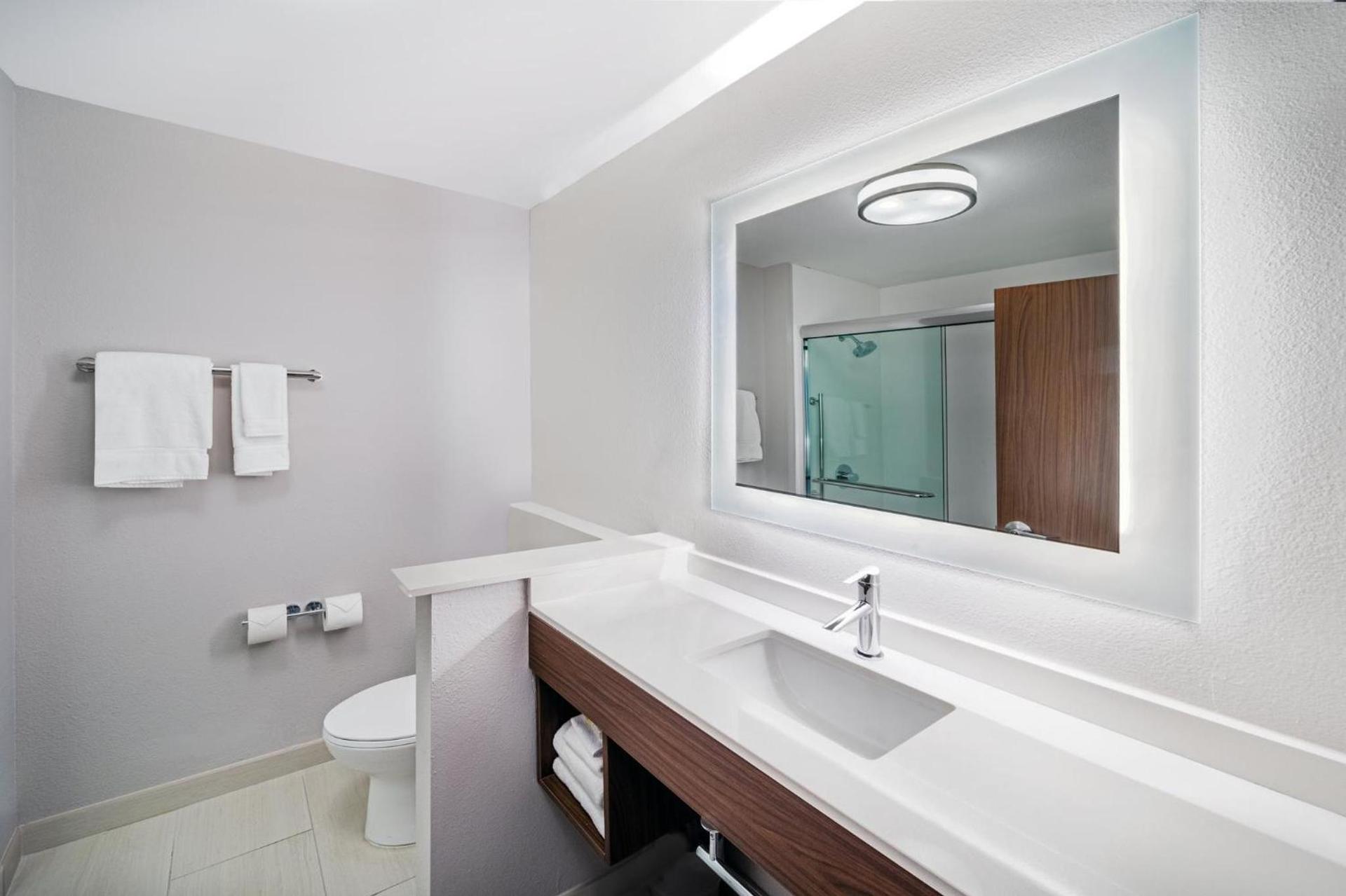 Holiday Inn Express & Suites - Houston - Downtown North by IHG photo 37