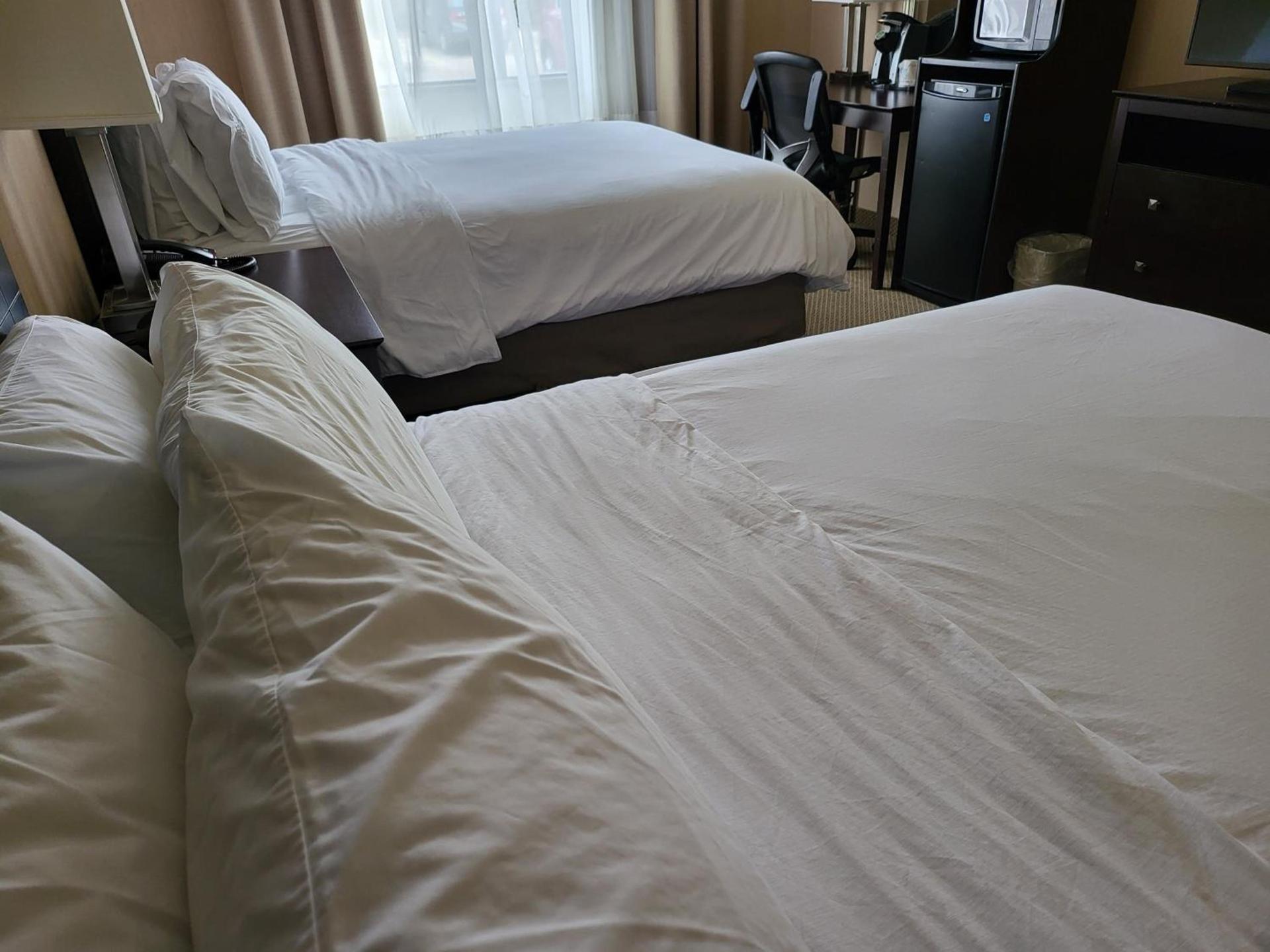 Holiday Inn Express Hotel & Suites Tipp City by IHG photo 21