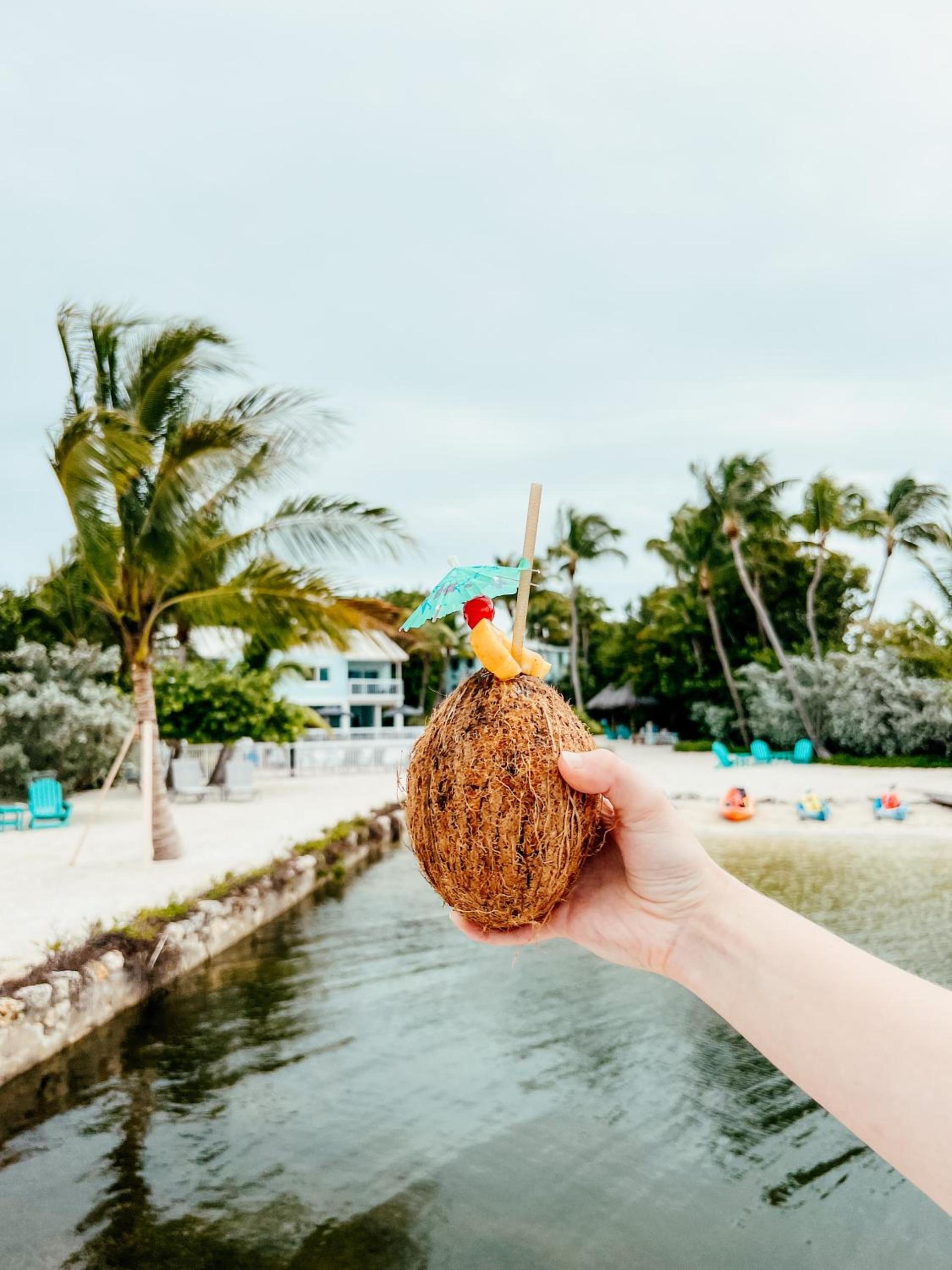 Bayside Inn Key Largo photo 80