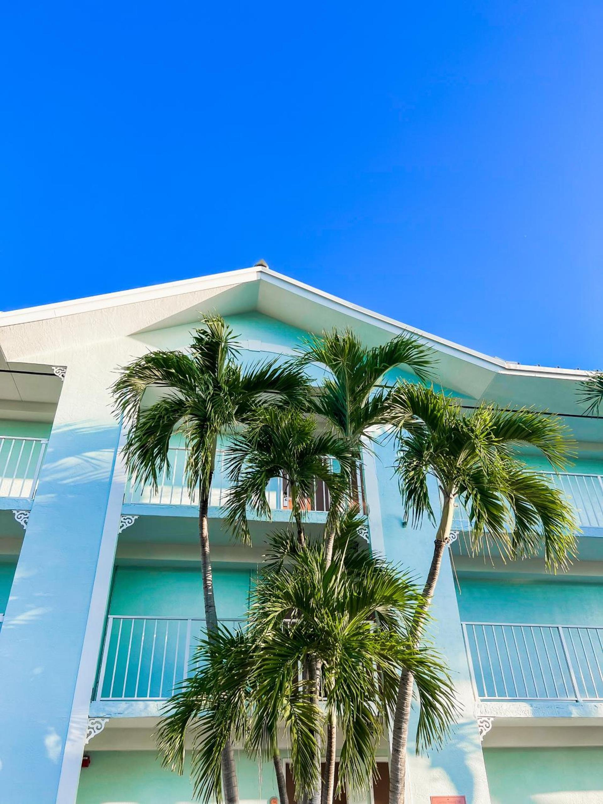 Bayside Inn Key Largo photo 14