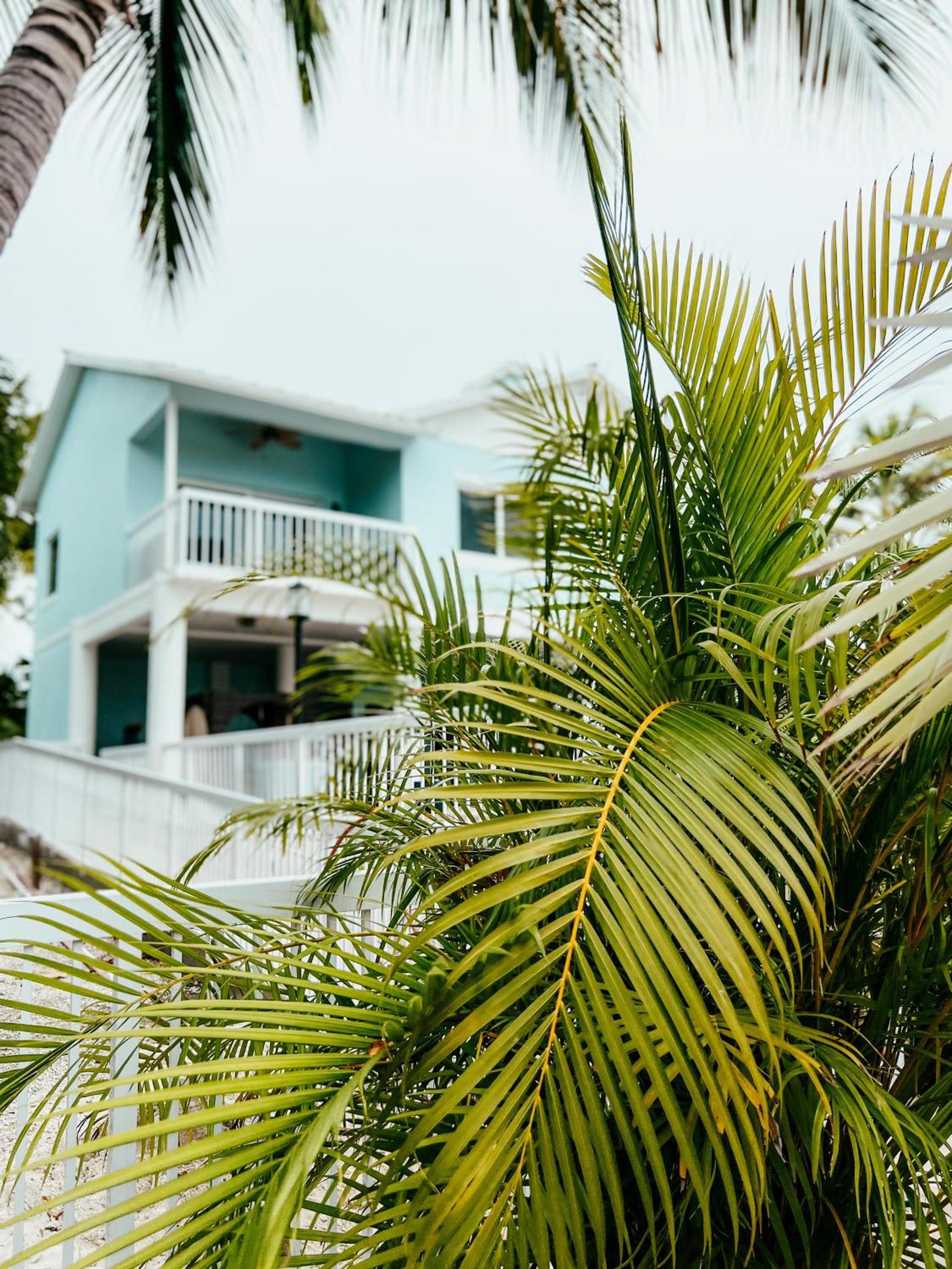 Bayside Inn Key Largo photo 16