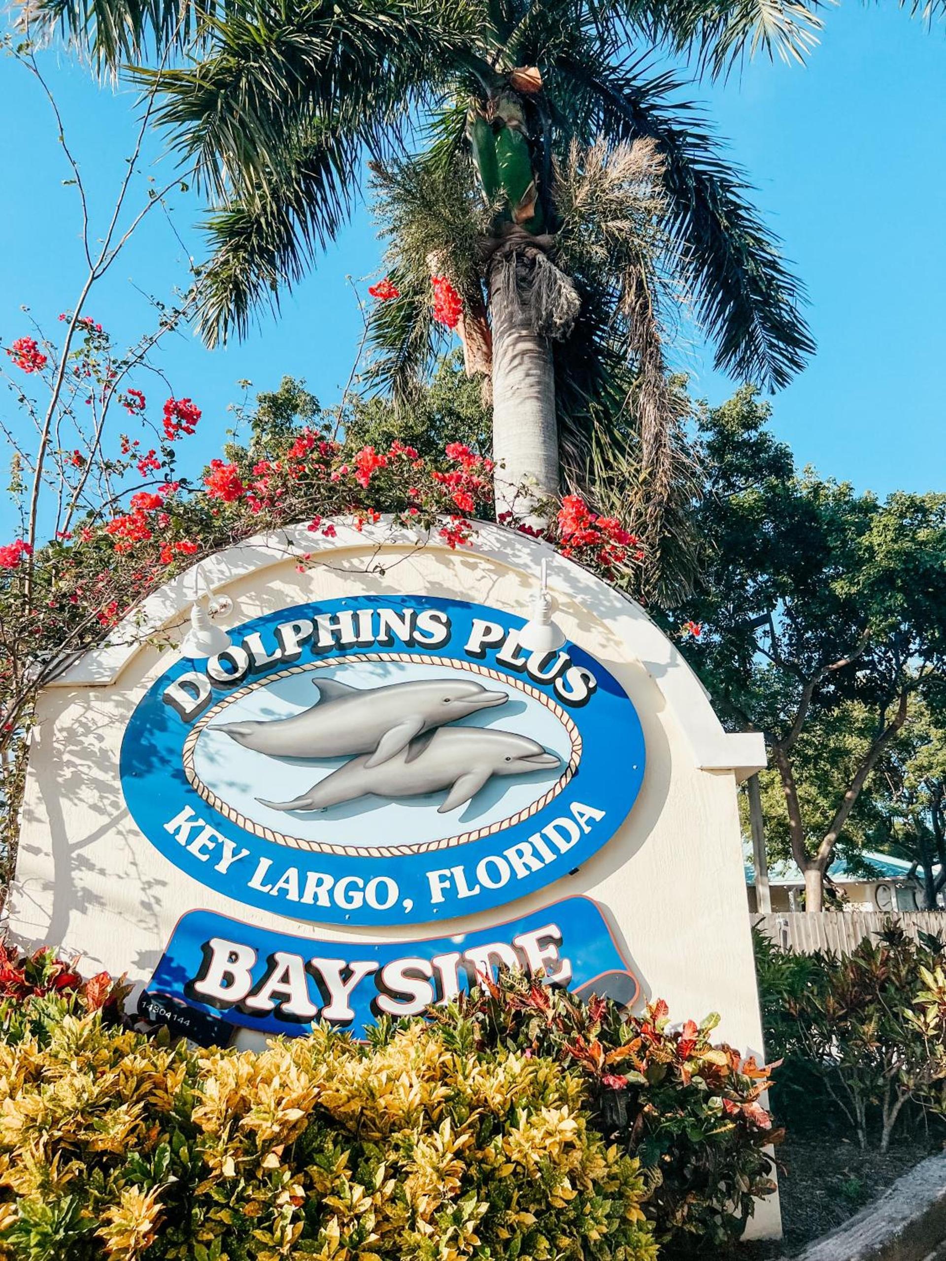 Bayside Inn Key Largo photo 21