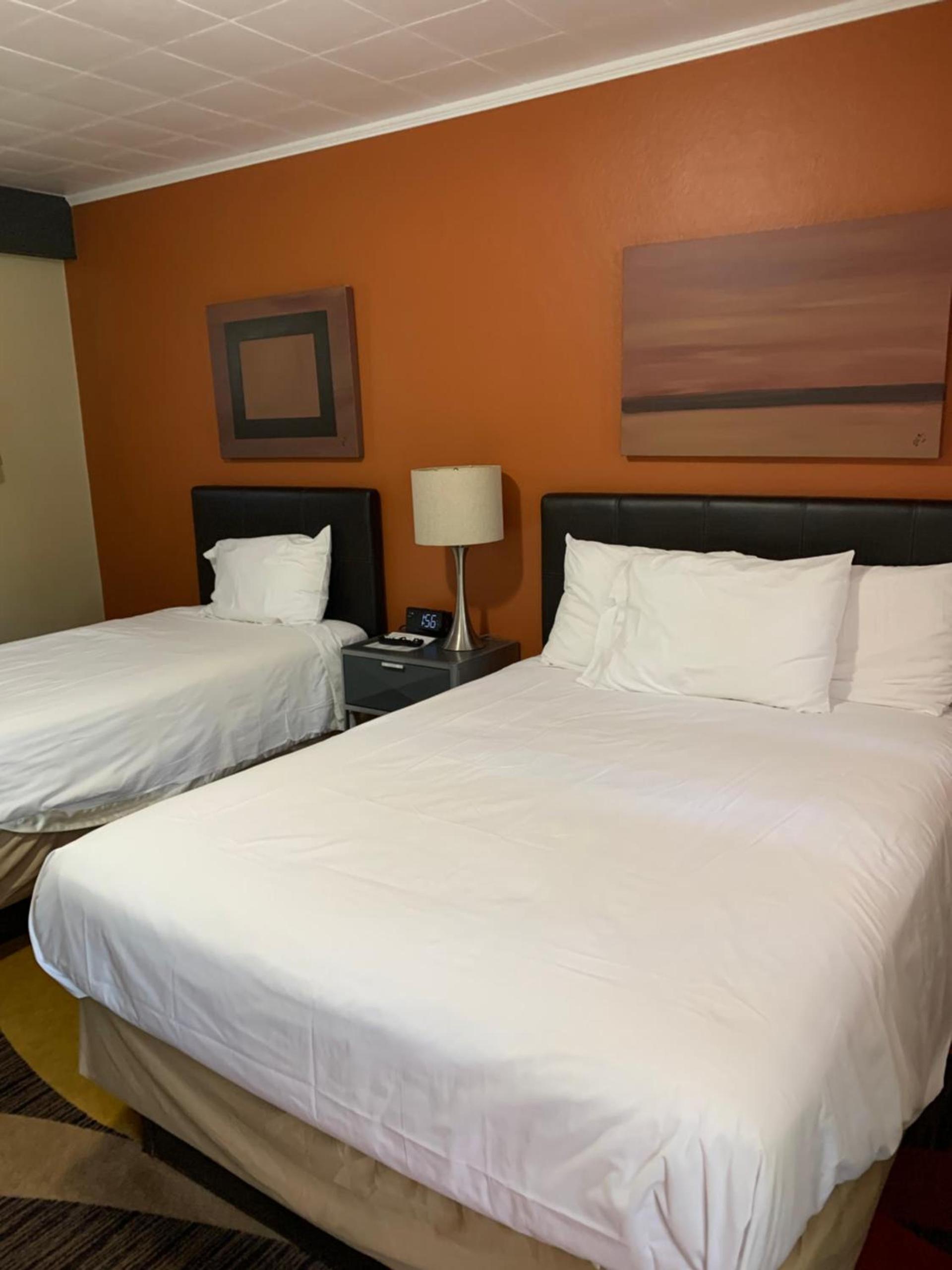 The Triangle Motel photo 33
