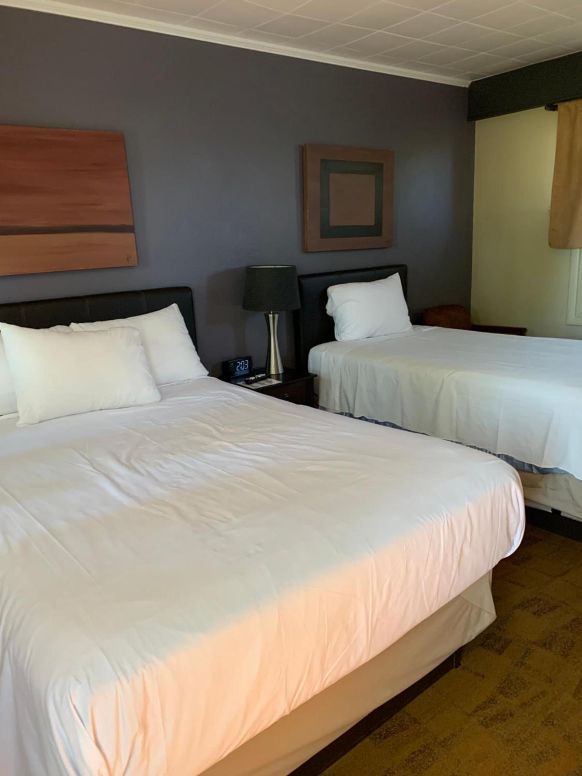 The Triangle Motel photo 10