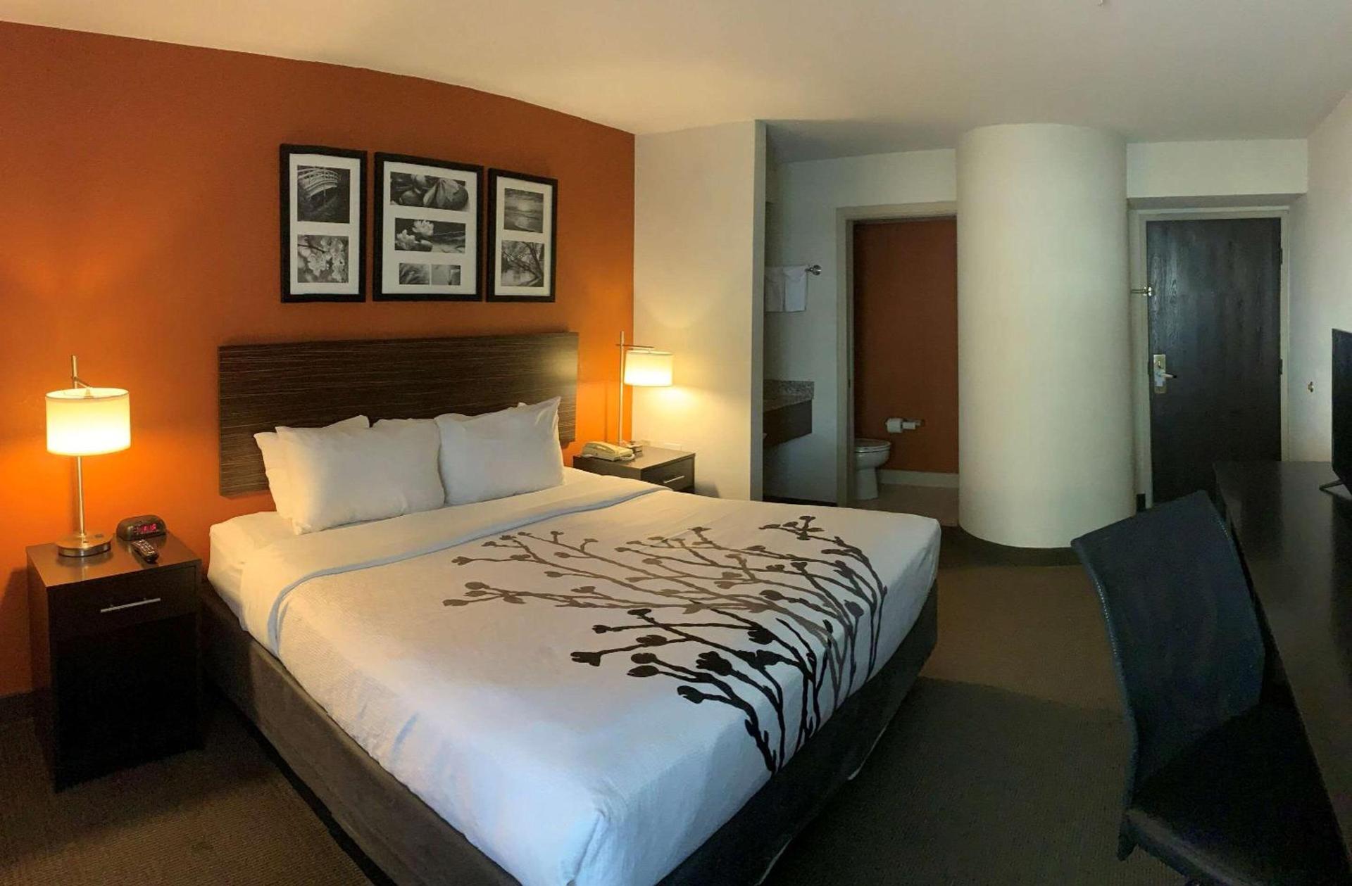Sleep Inn Phoenix North I-17 photo 9