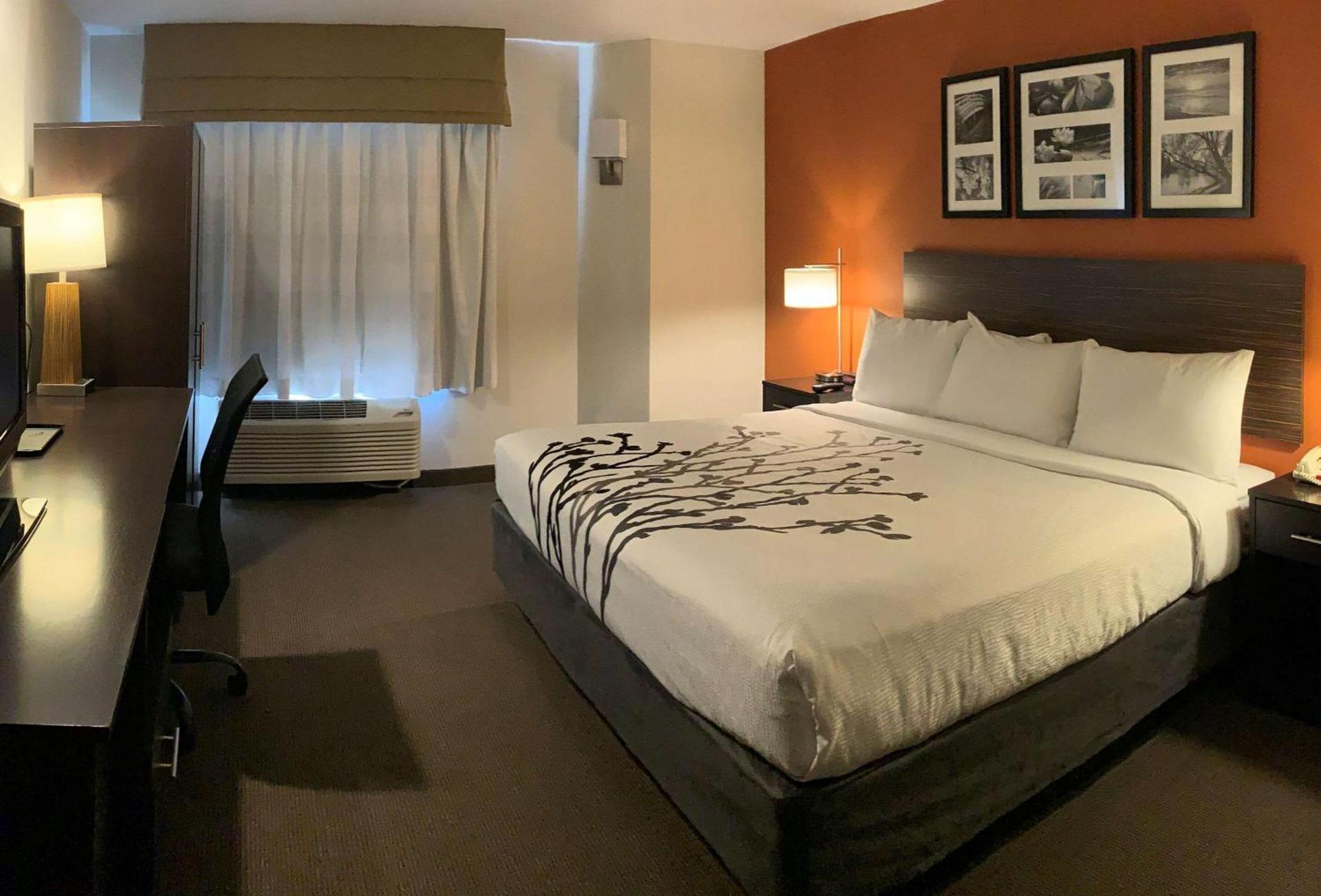 Sleep Inn Phoenix North I-17 photo 10