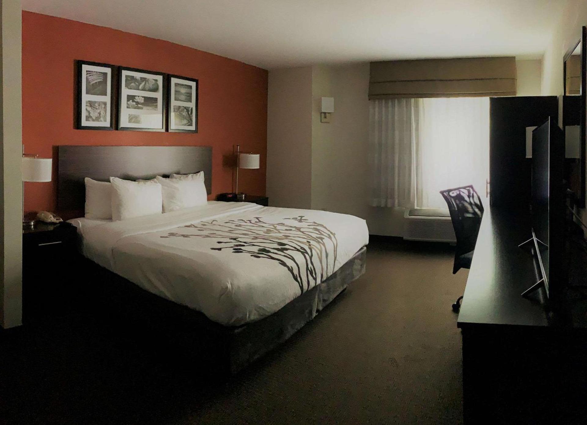 Sleep Inn Phoenix North I-17 photo 11
