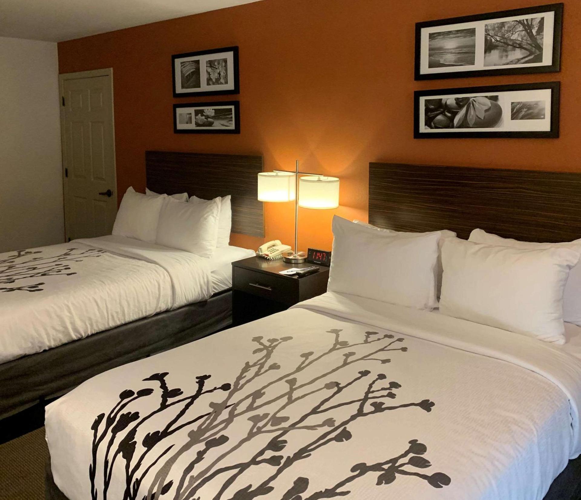Sleep Inn Phoenix North I-17 photo 12