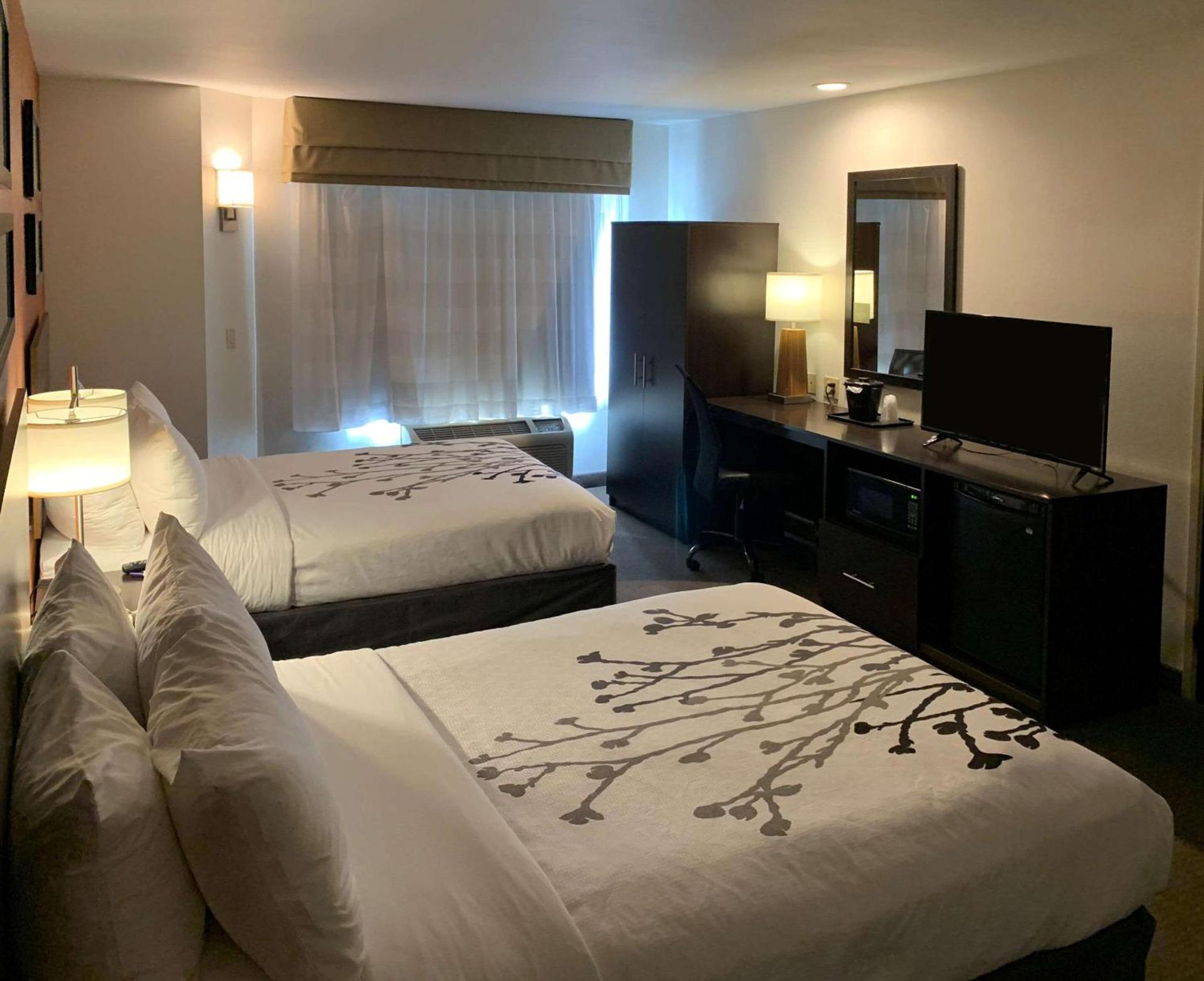 Sleep Inn Phoenix North I-17 photo 14