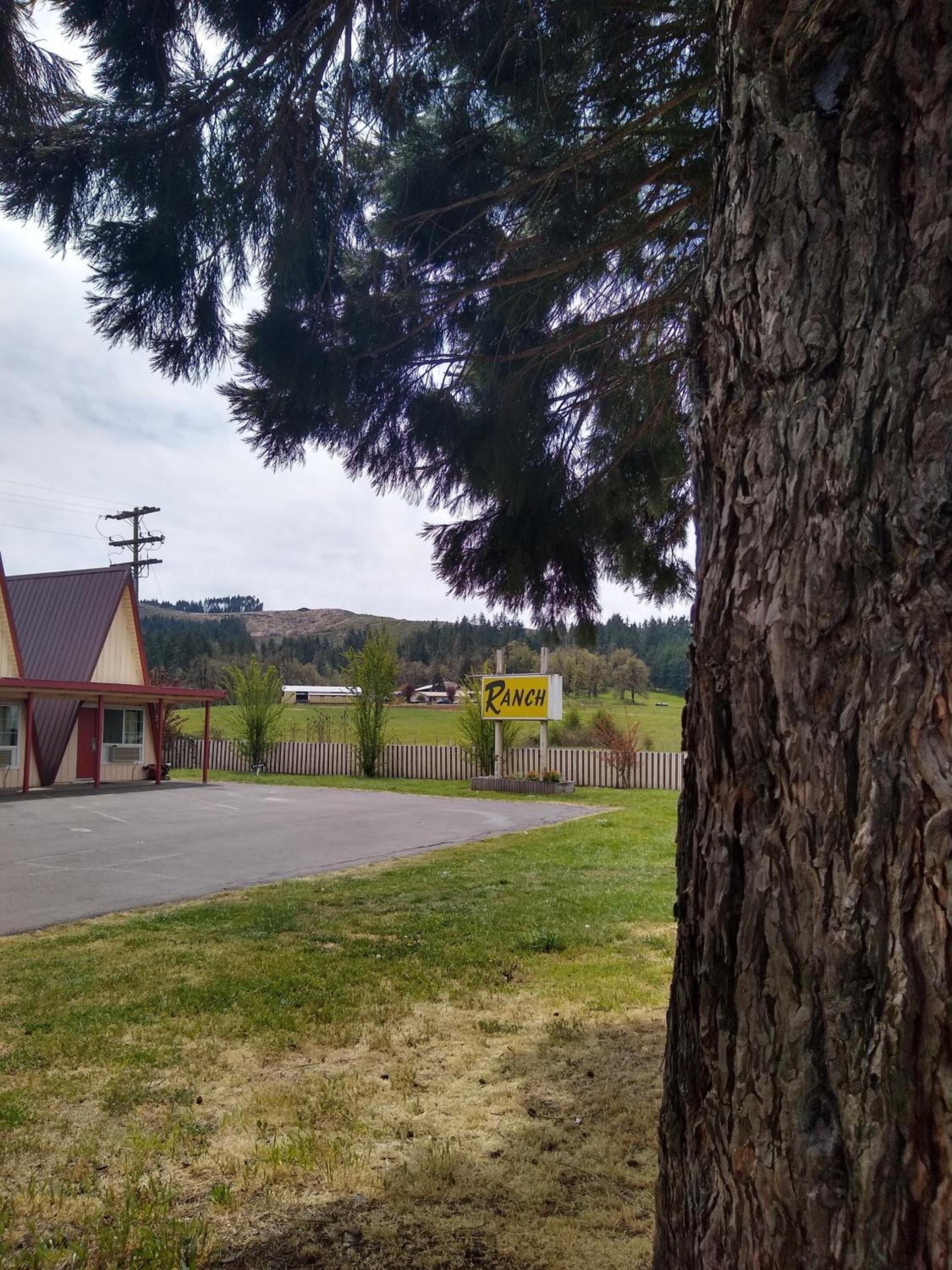 The Ranch Motel photo 29