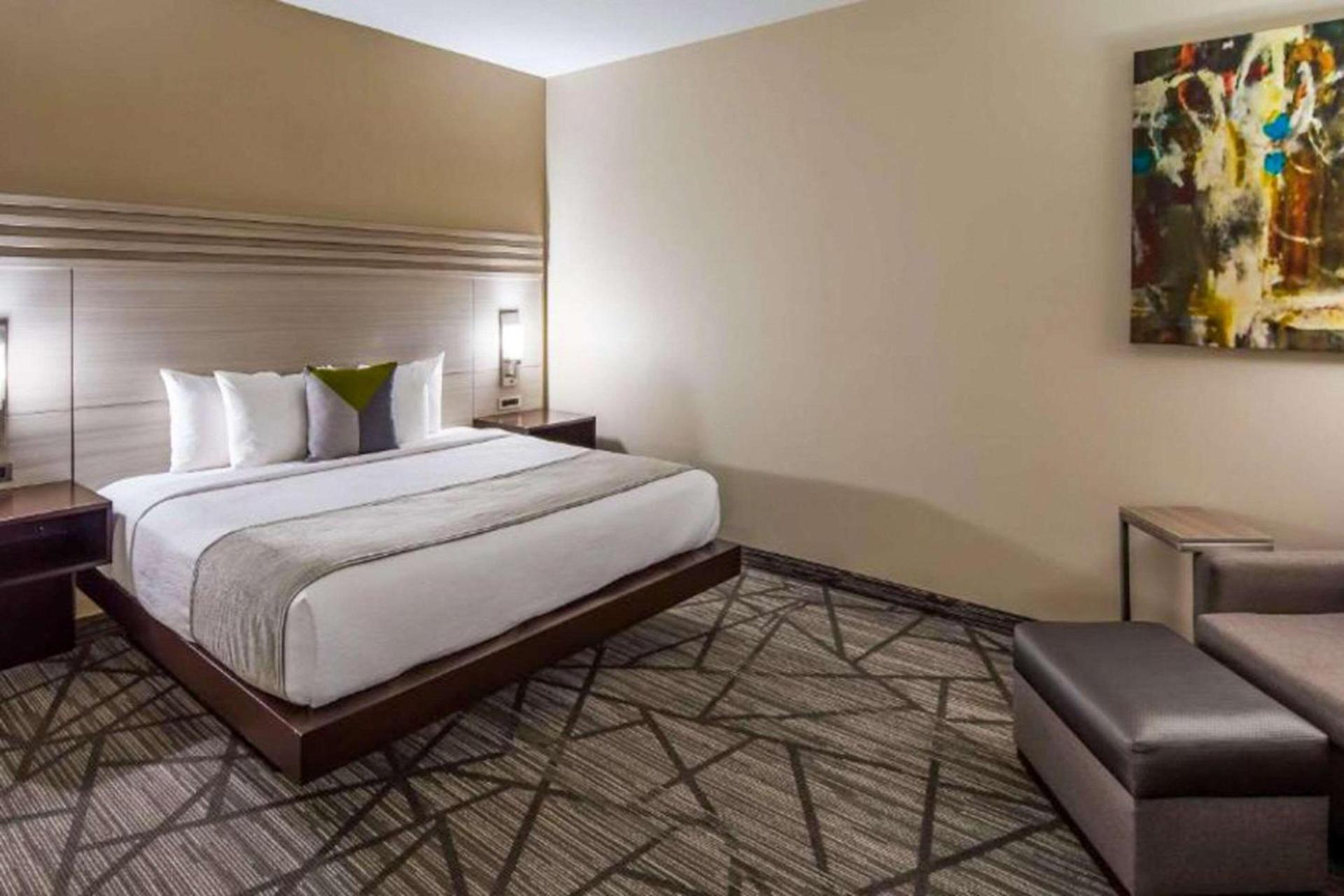 Comfort Inn & Suites Houston I-45 North - IAH photo 5