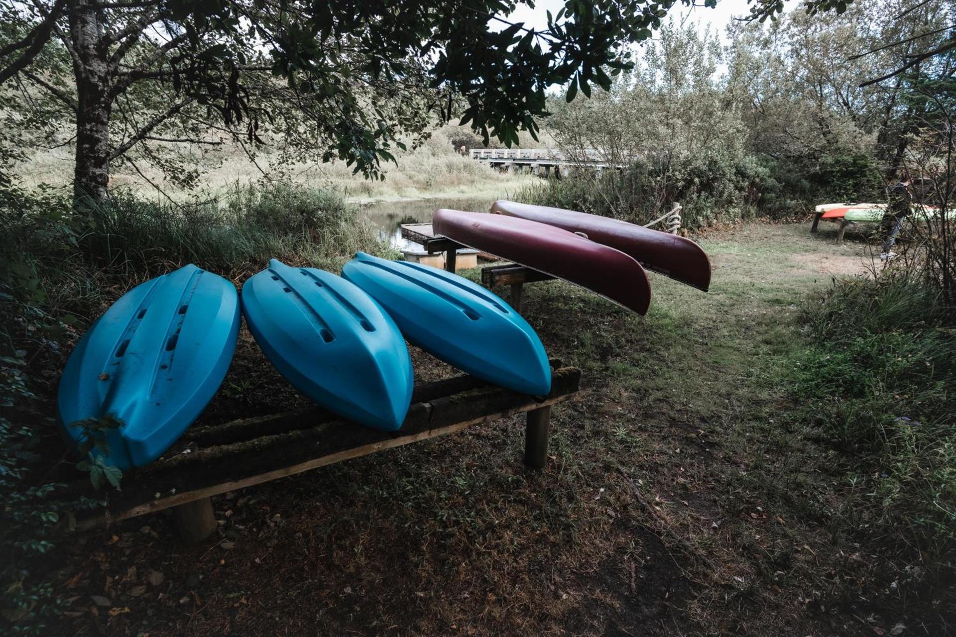 Surfcrest Resort photo 68