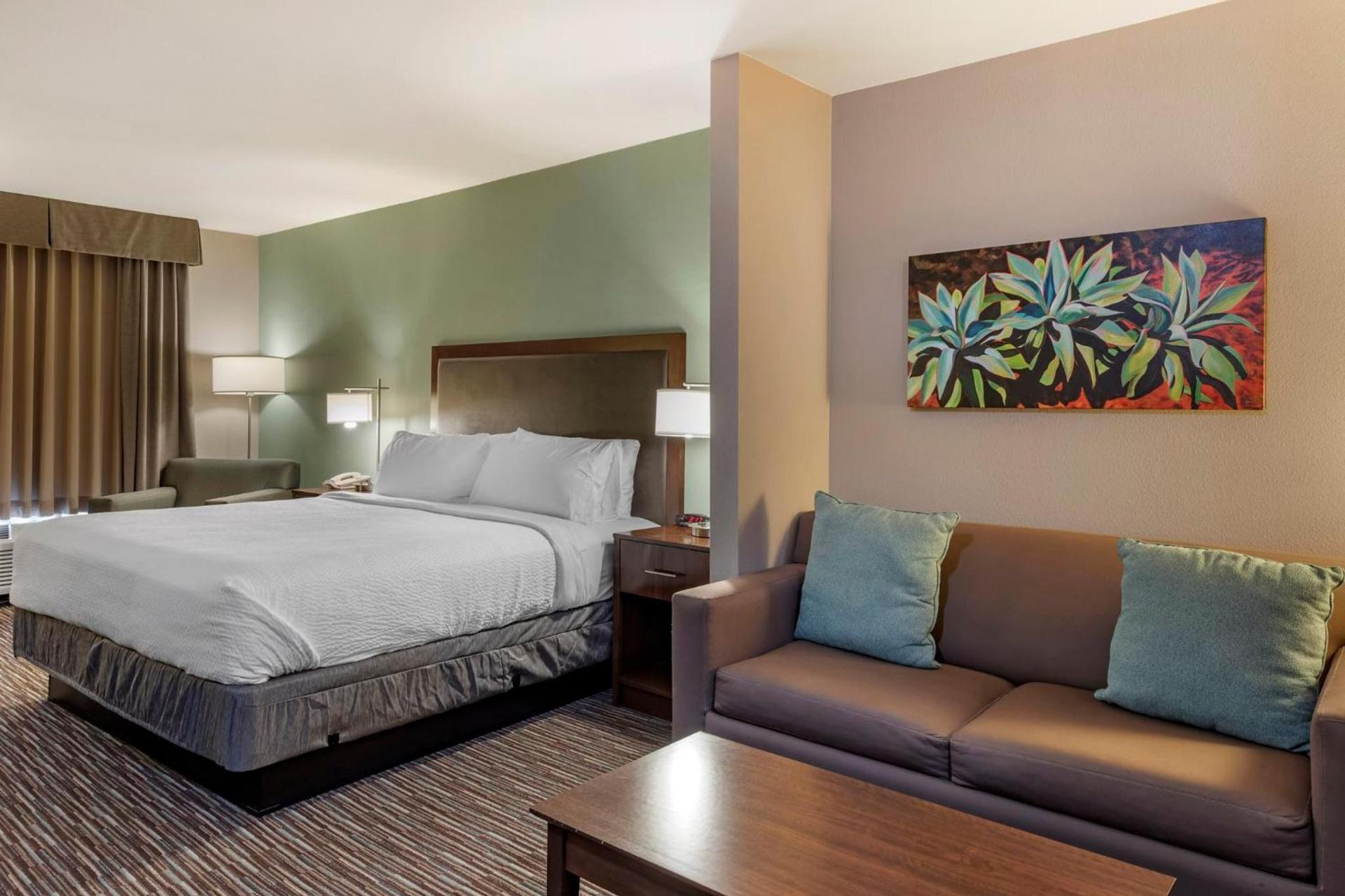 Holiday Inn Express & Suites Indio - Coachella Valley by IHG photo 20