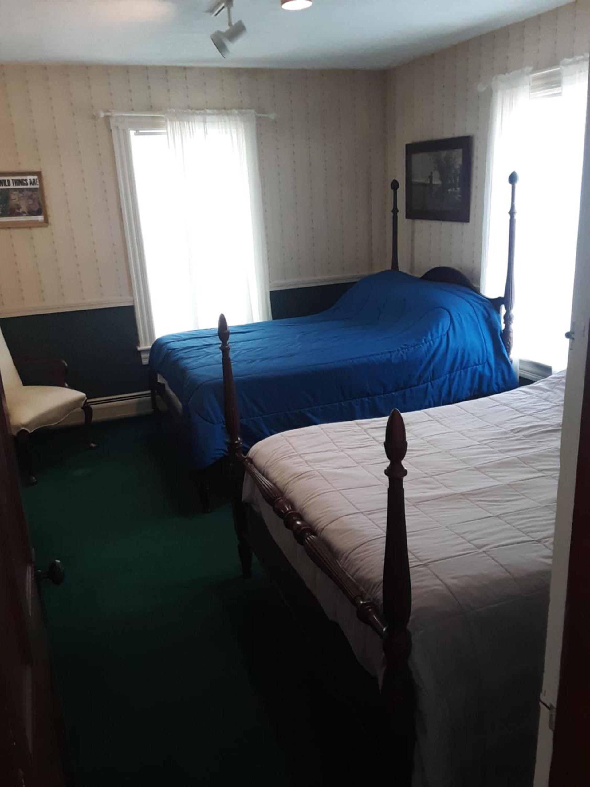 Terrapin Hostel photo 10
