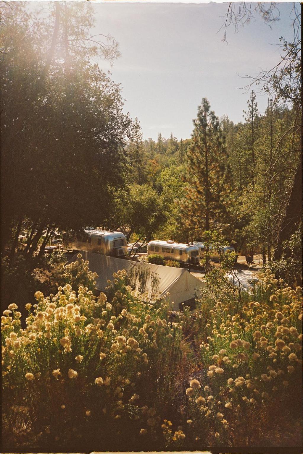 AutoCamp Yosemite photo 57