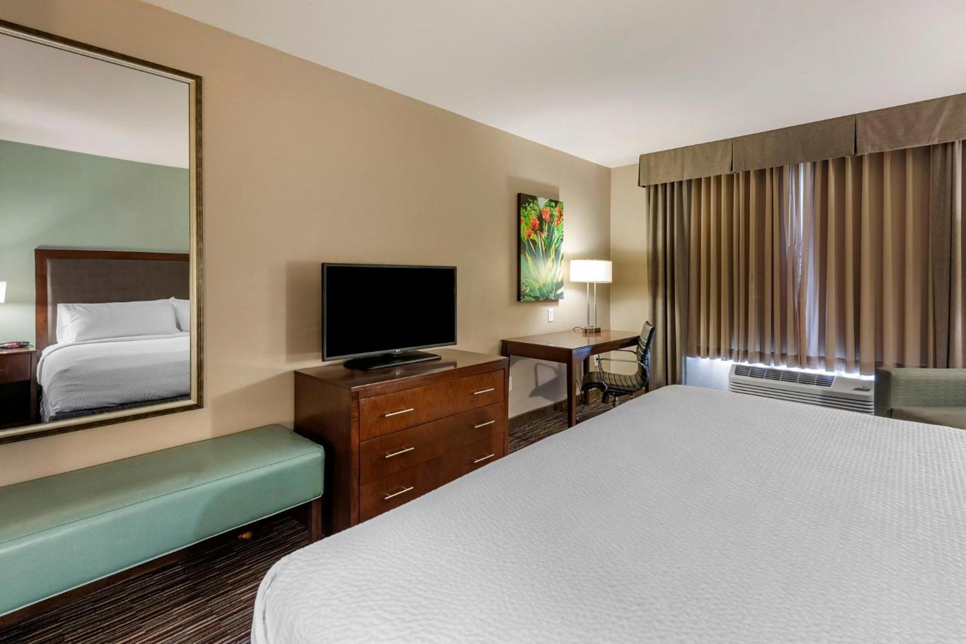 Holiday Inn Express & Suites Indio - Coachella Valley by IHG photo 43