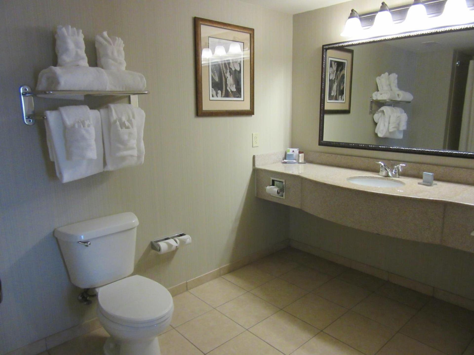 Wingate by Wyndham Charleston Southern University photo 17